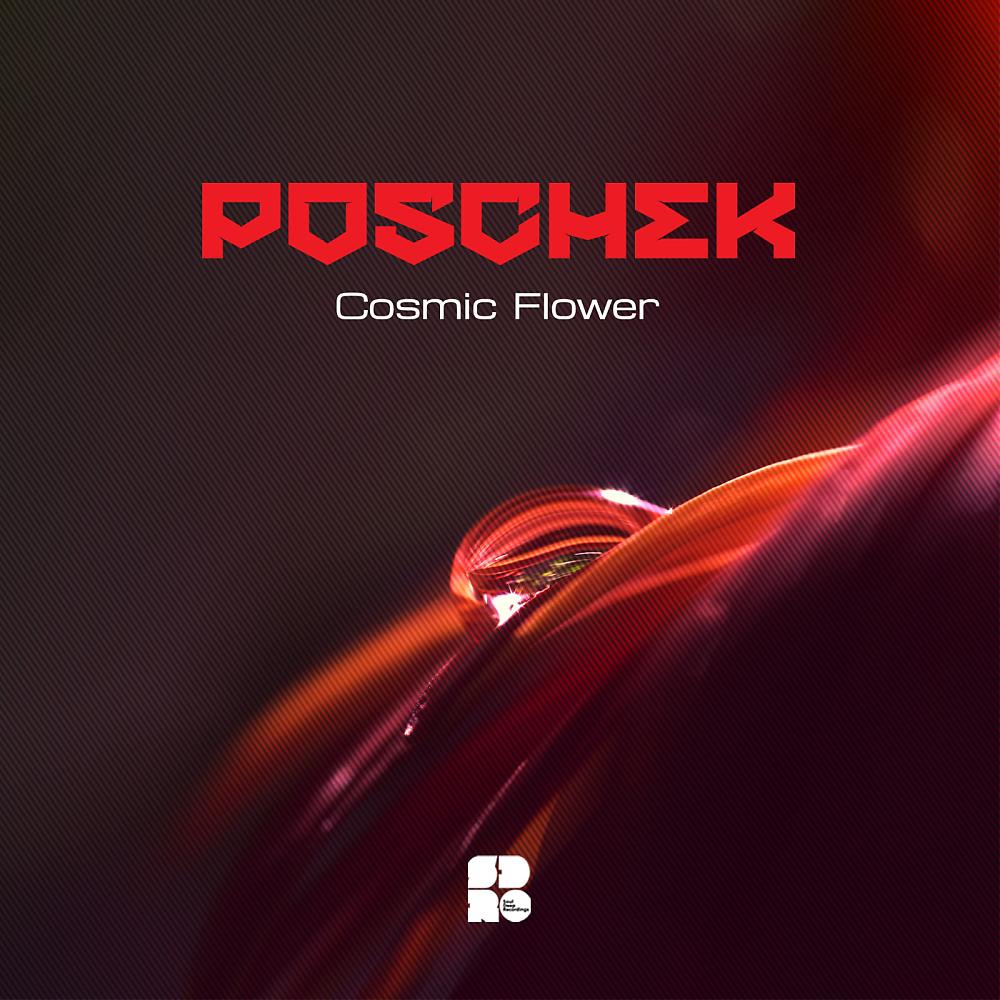 Постер альбома Cosmic Flower