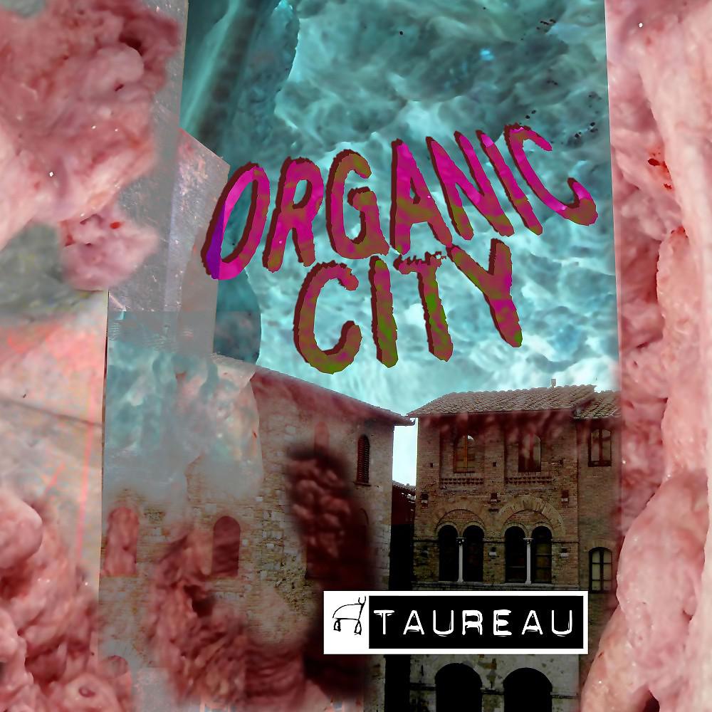 Постер альбома Organic City