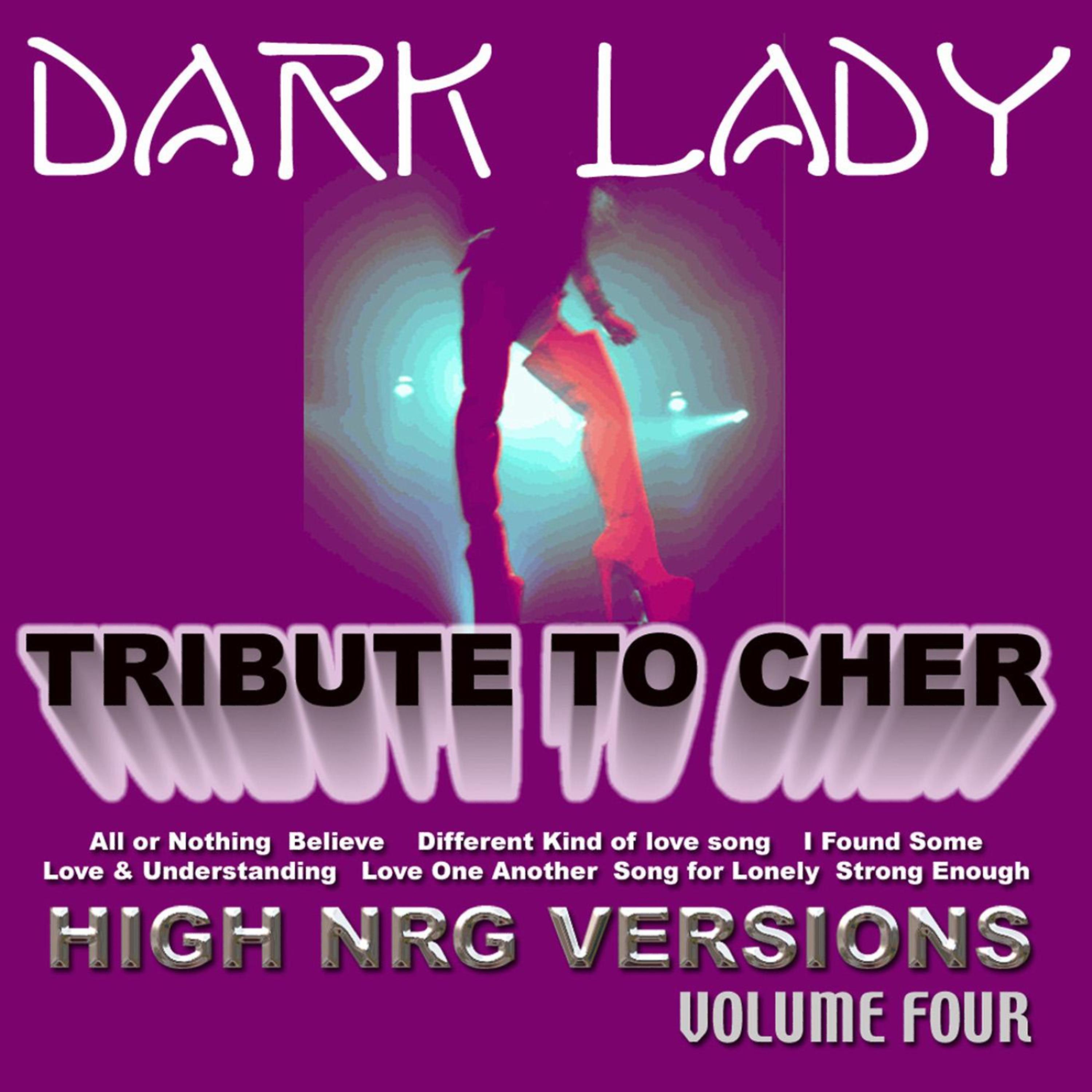 Постер альбома A Tribute To Cher Volume 4 - (High Energy Versions 2)