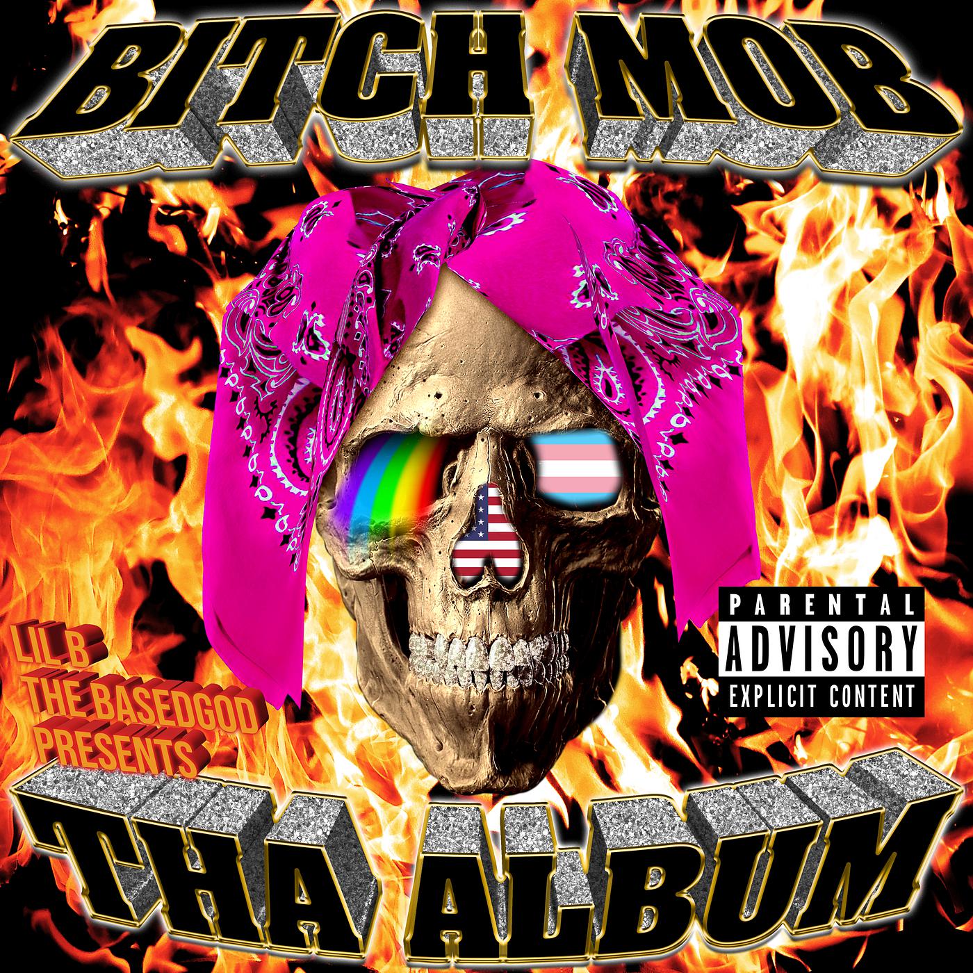 Постер альбома Bitch Mob tha Album
