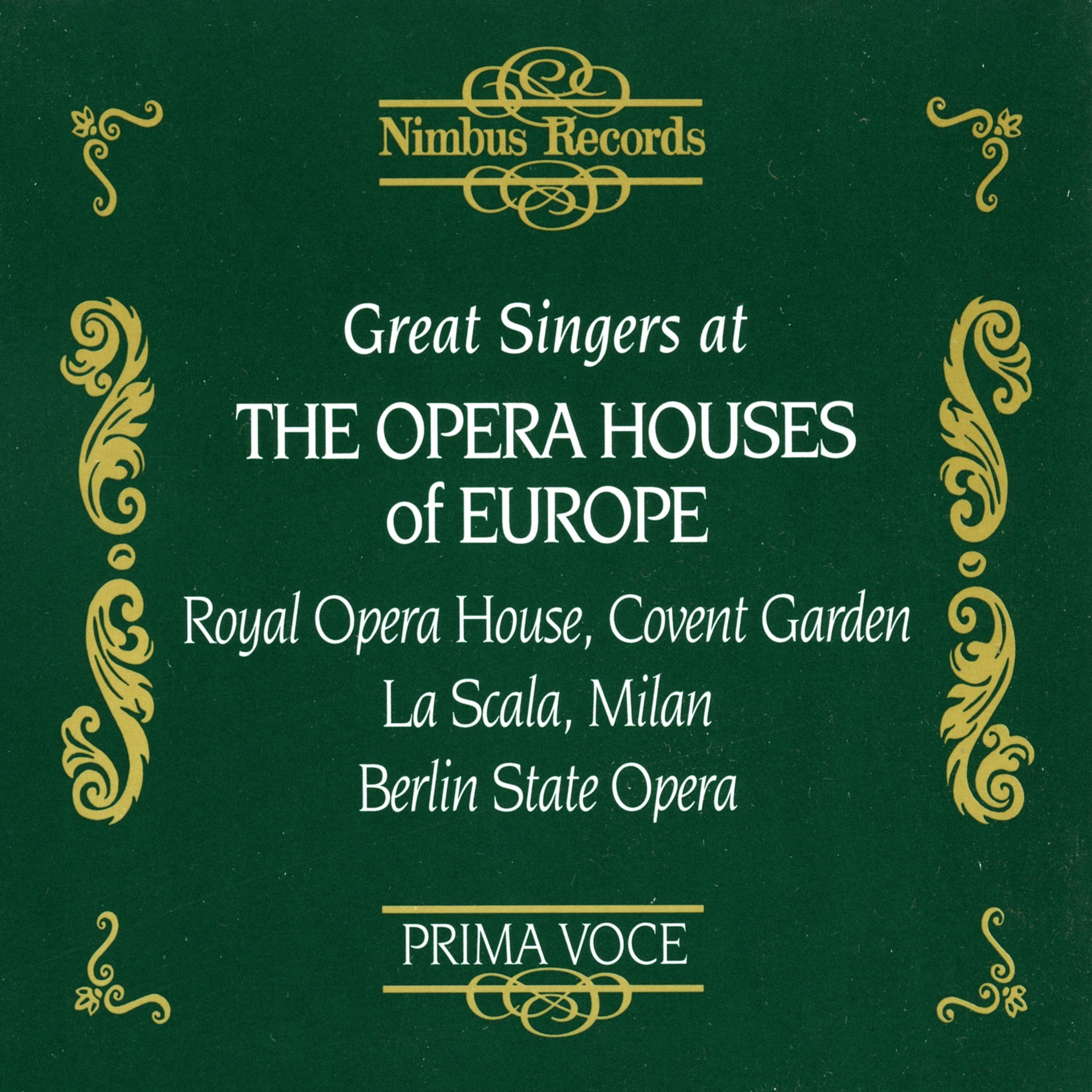 Постер альбома Great Singers at the Opera Houses of Europe