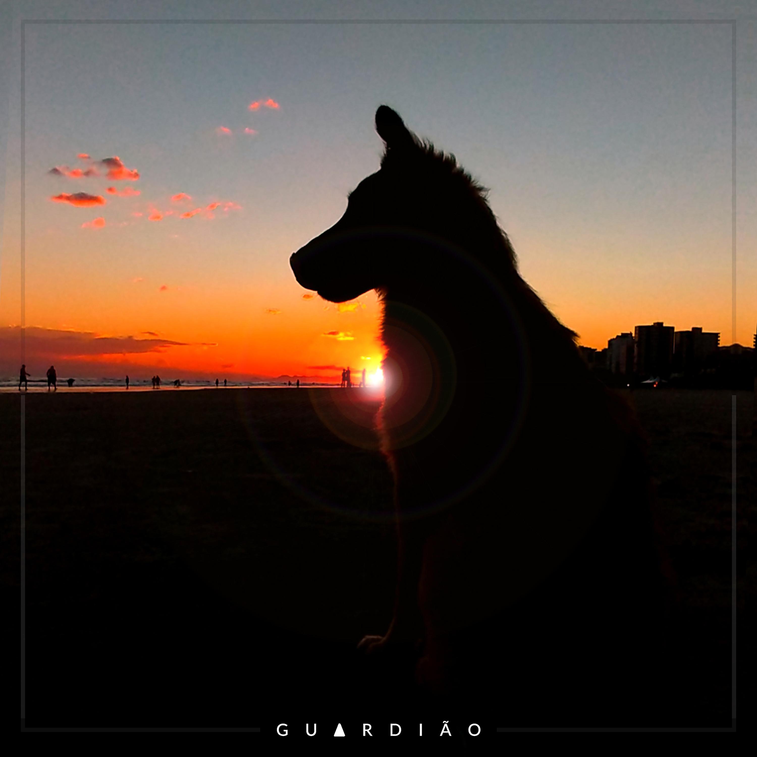 Постер альбома Guardião