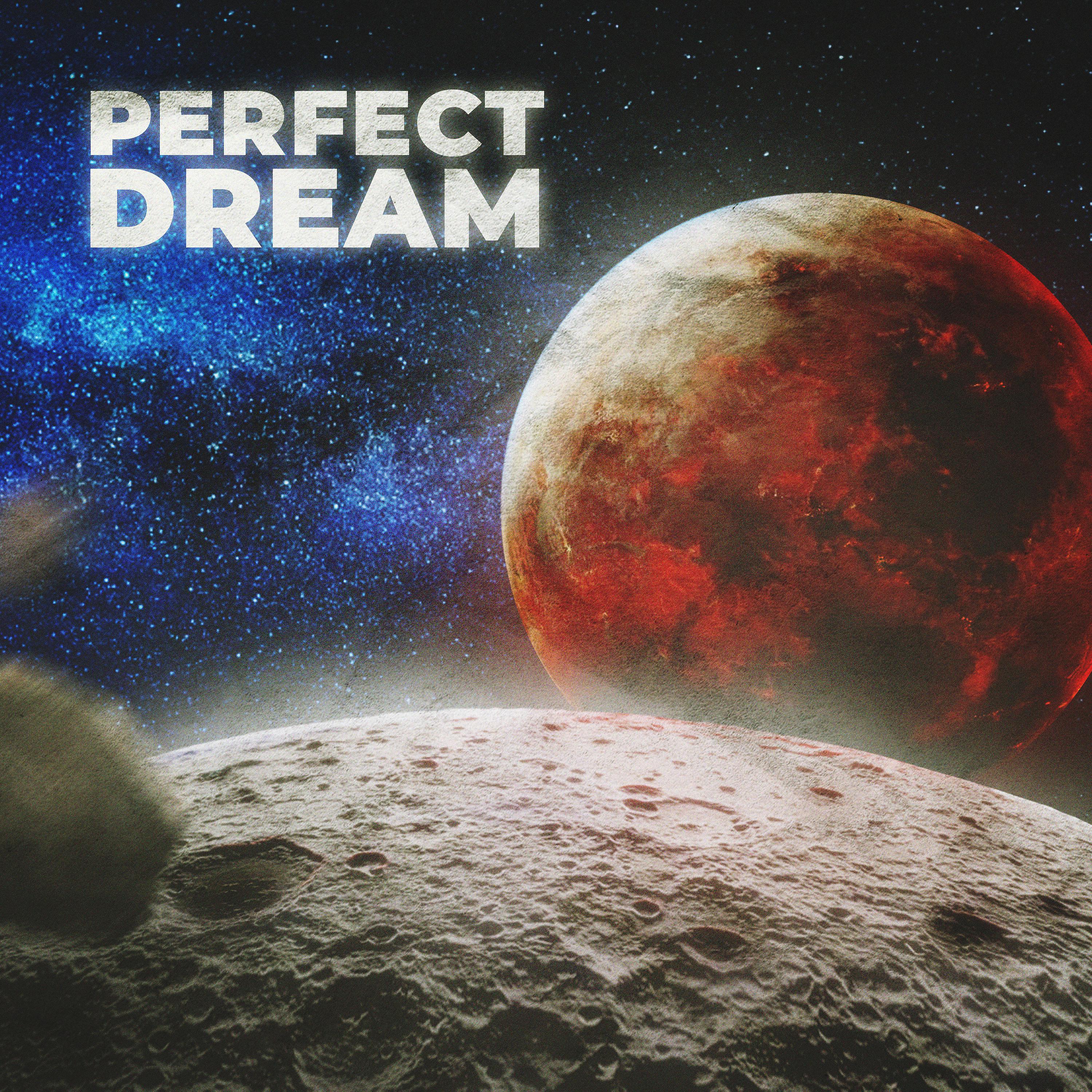 Постер альбома Perfect Dream