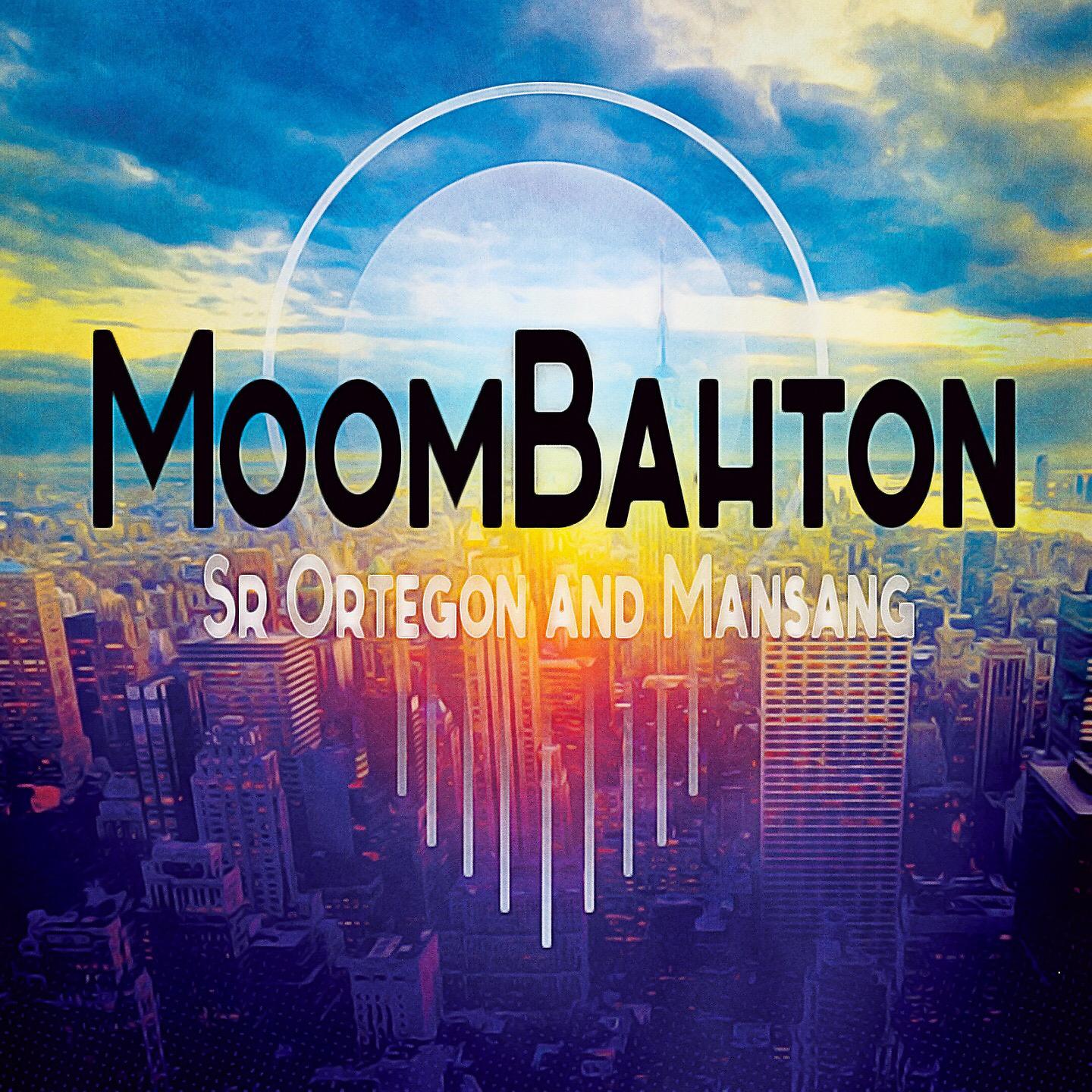 Постер альбома Moombahton