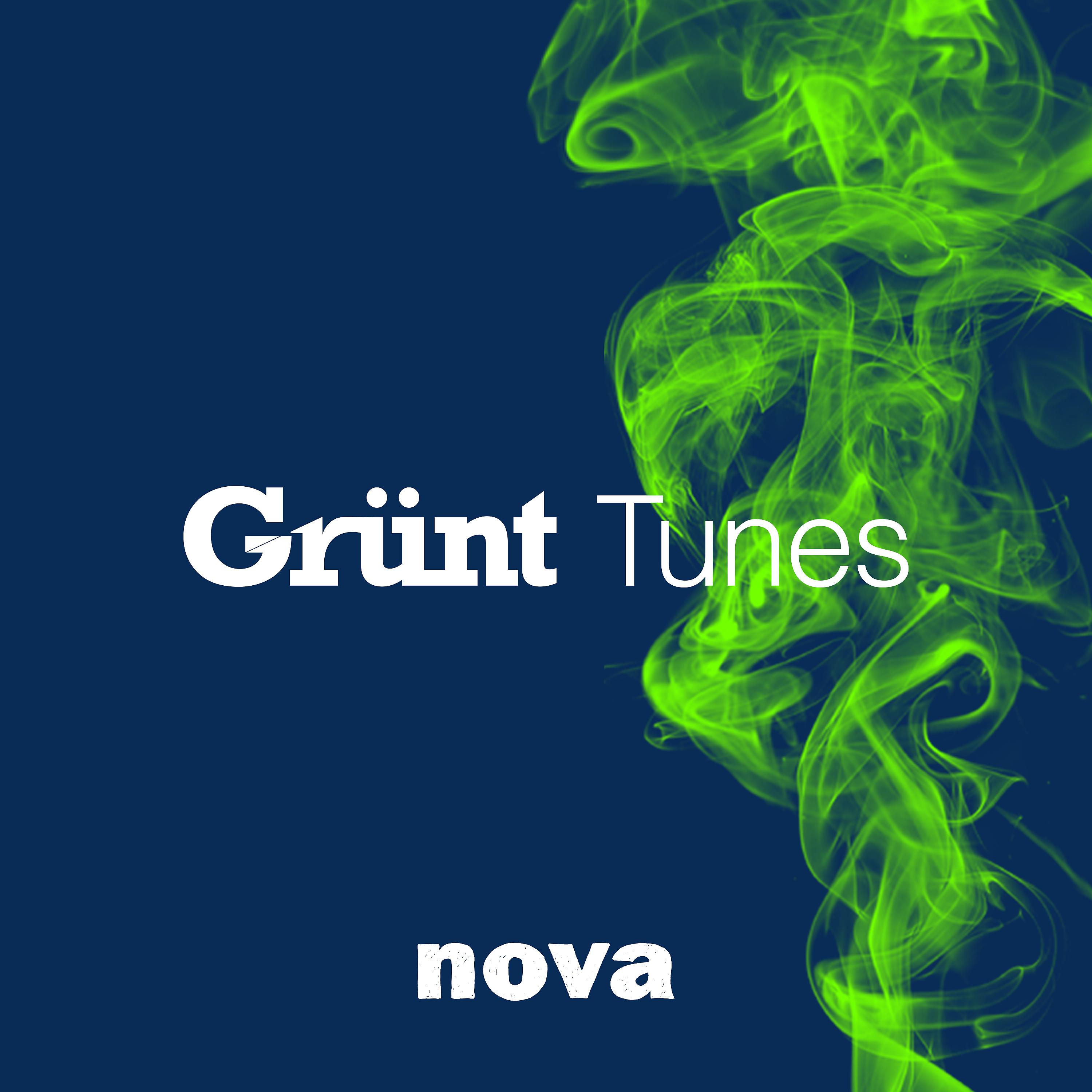 Постер альбома Grünt Tunes
