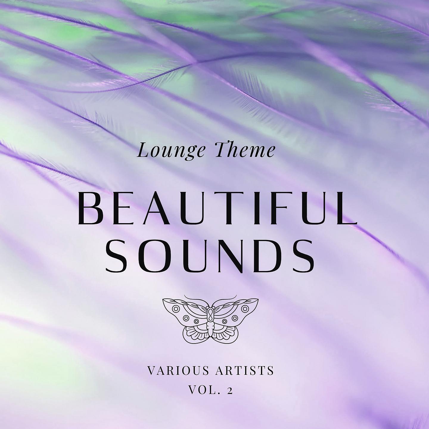 Постер альбома Beautiful Sounds (Lounge Theme), Vol. 2