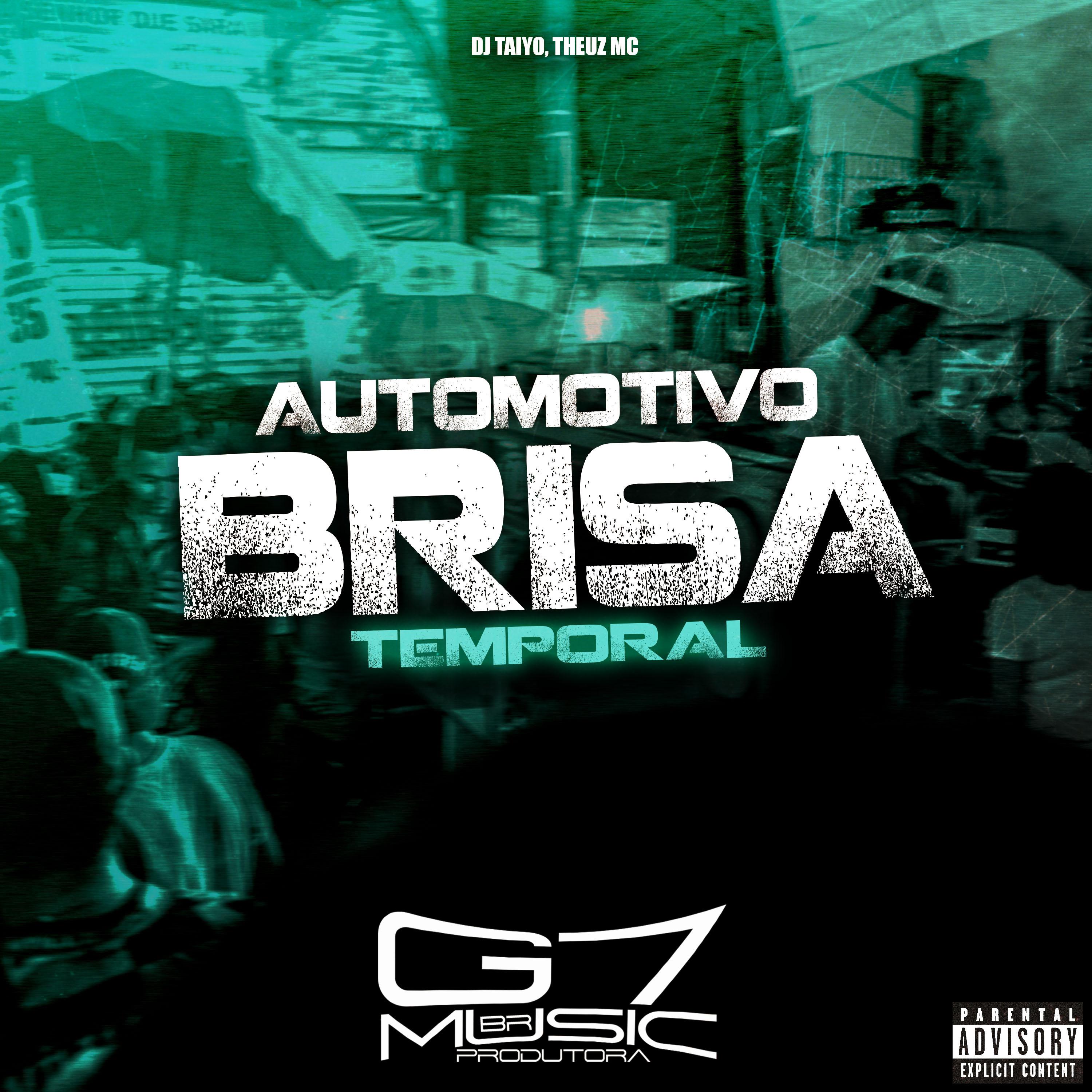 Постер альбома Automotivo Brisa Temporal