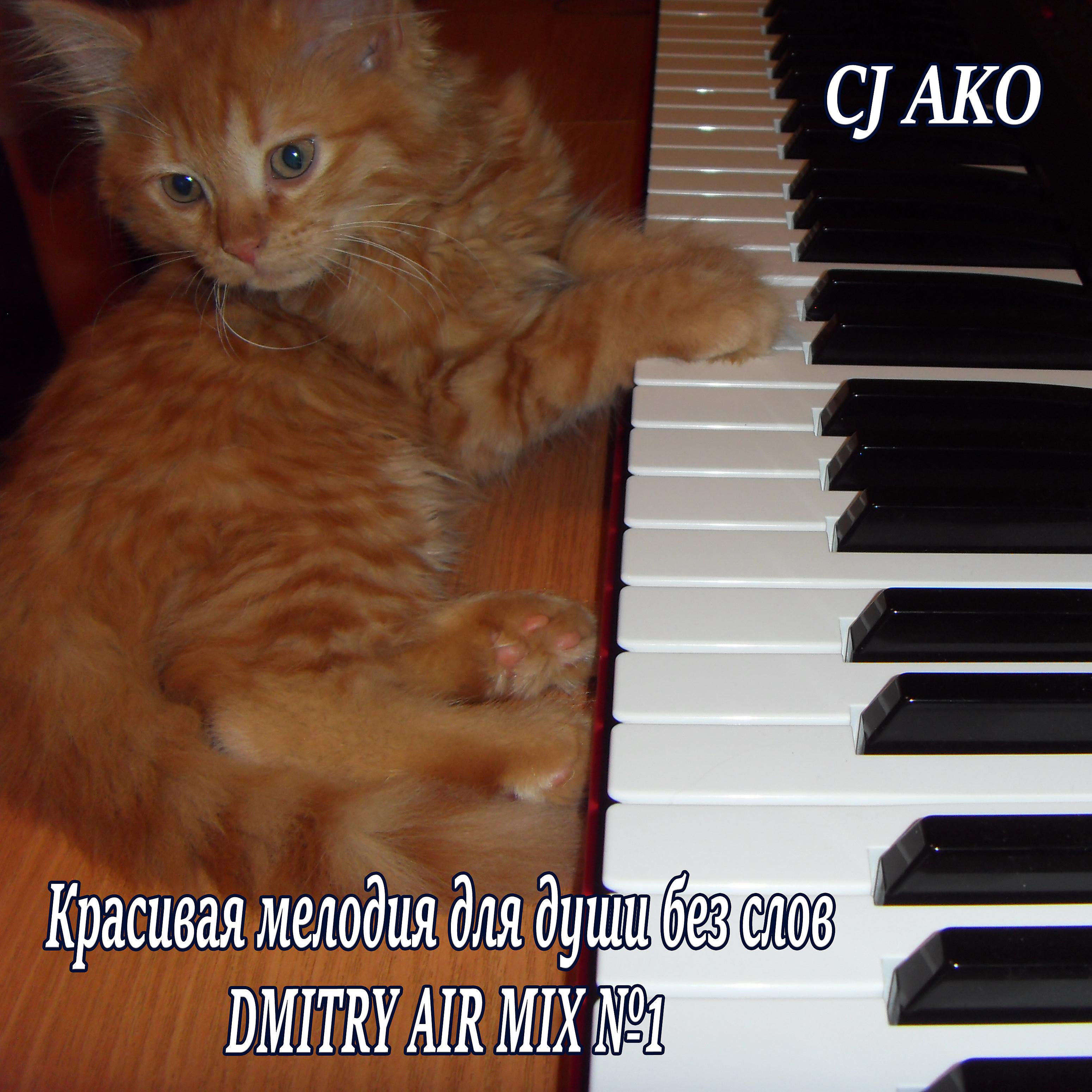 Постер альбома Красивая мелодия для души без слов Dmitry Air №1