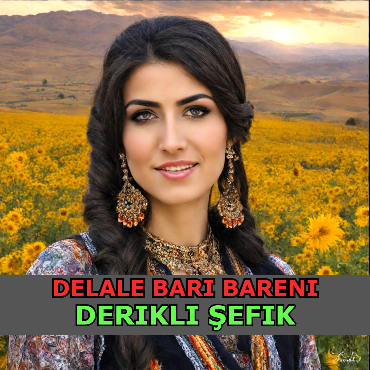 Постер альбома Delale Bari Bareni
