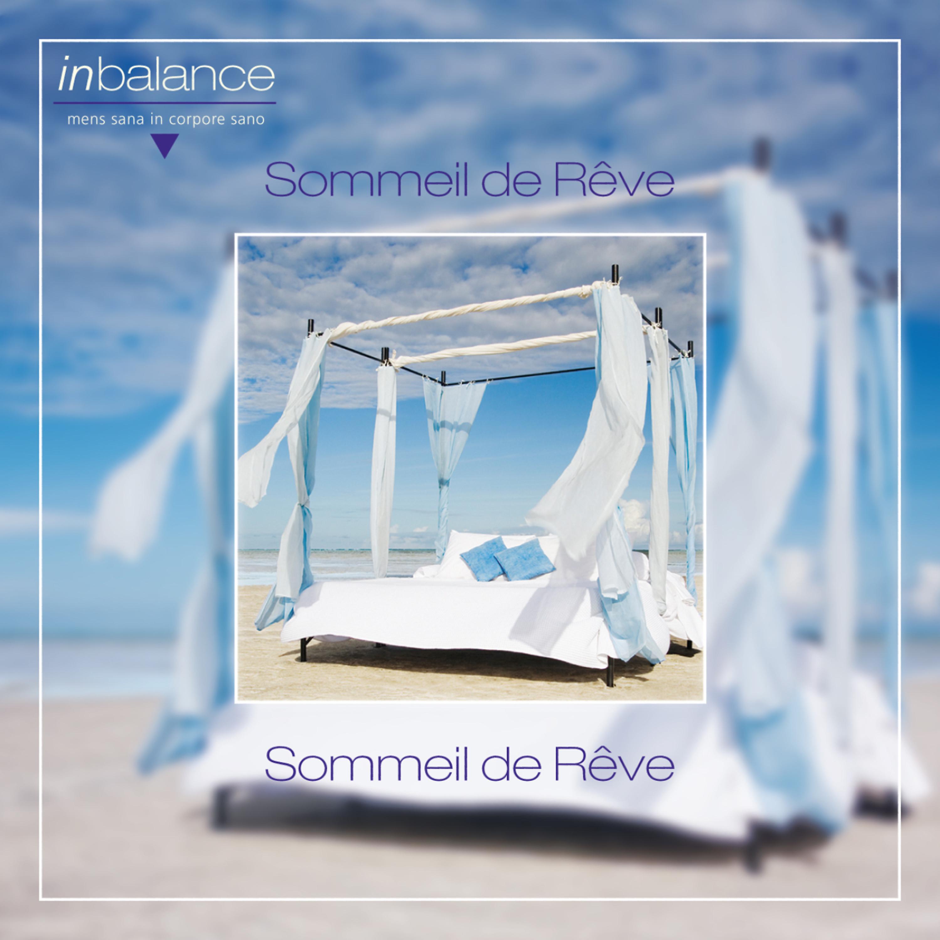 Постер альбома Sommeil de Rêve