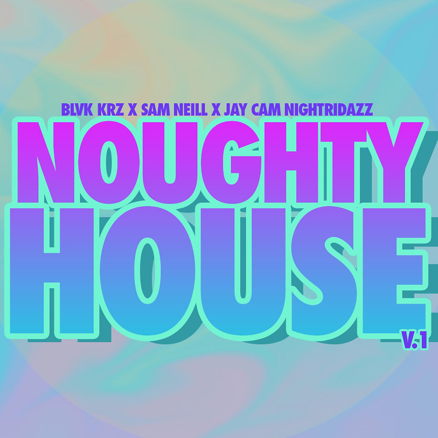 Постер альбома Noughty House V.1
