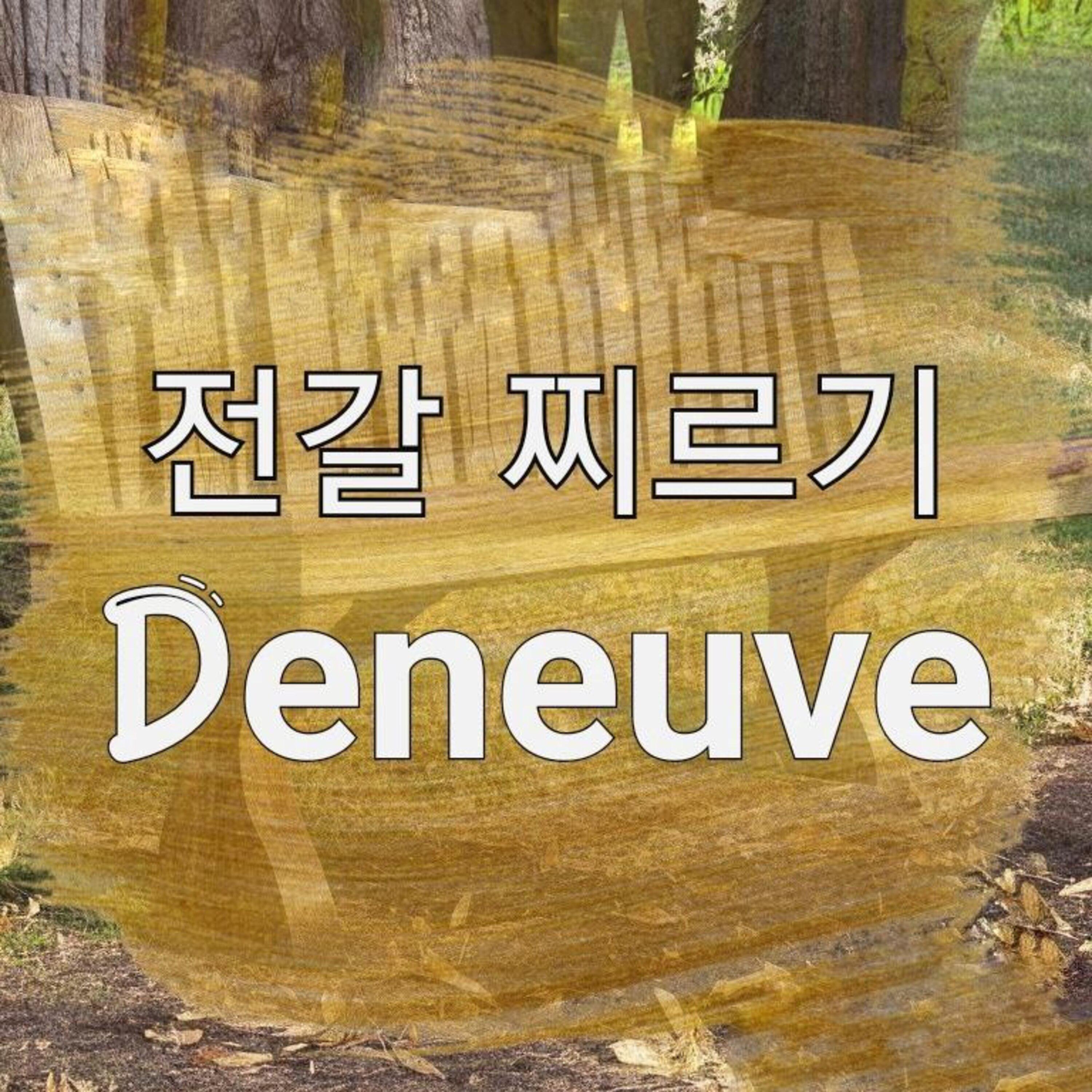 Постер альбома Deneuve
