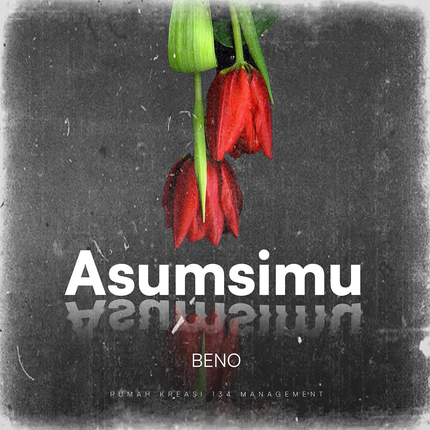 Постер альбома Asumsimu