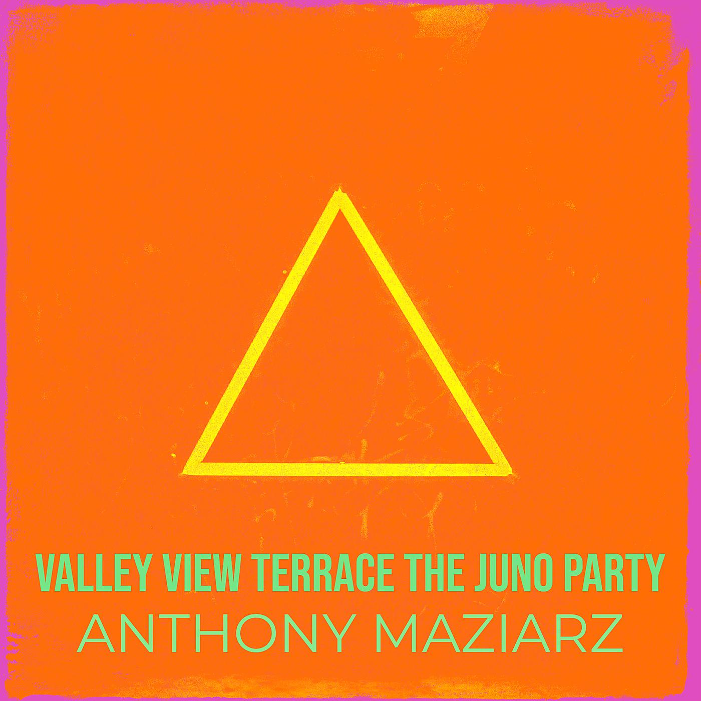Постер альбома Valley View Terrace the Juno Party