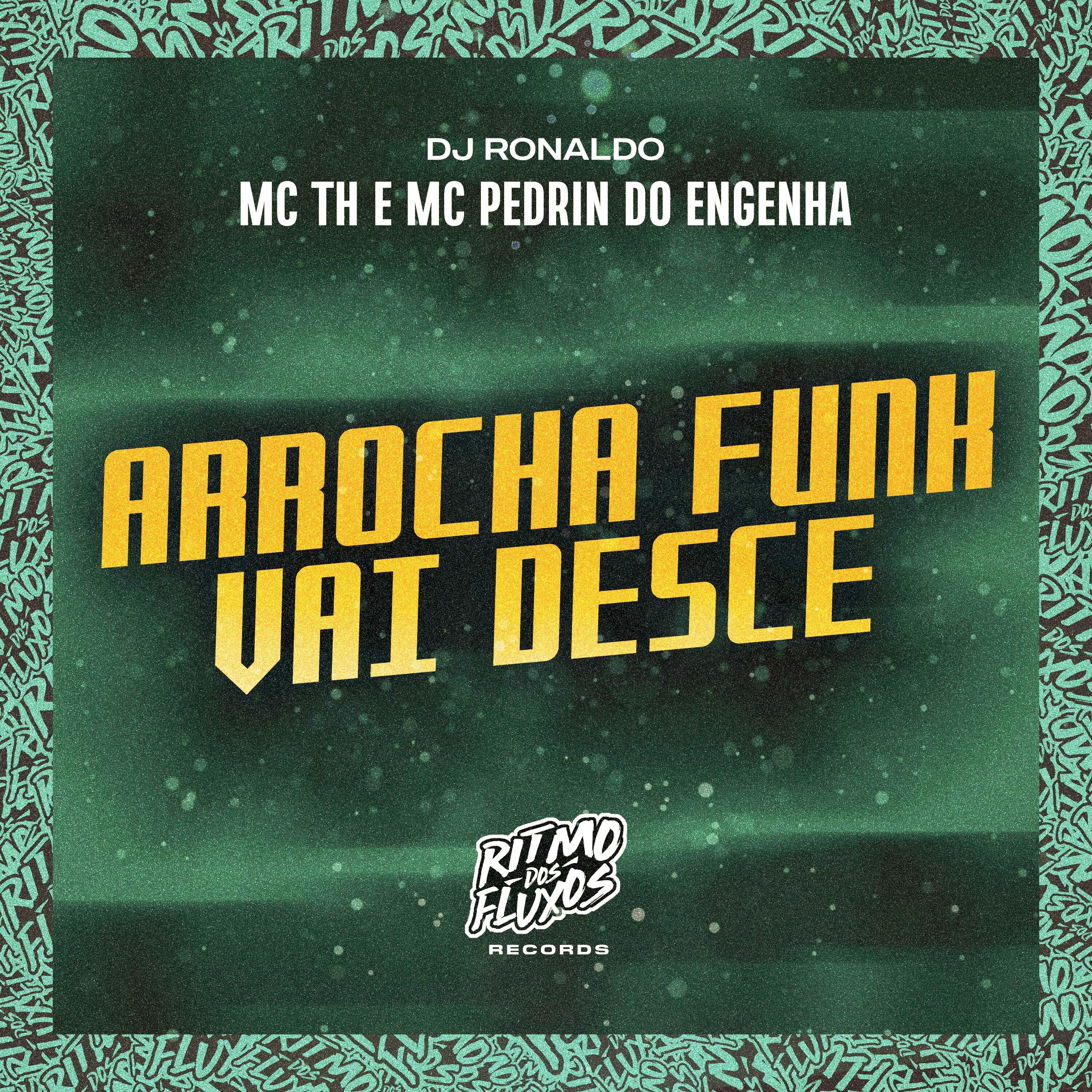 Постер альбома Arrocha Funk Vai Desce