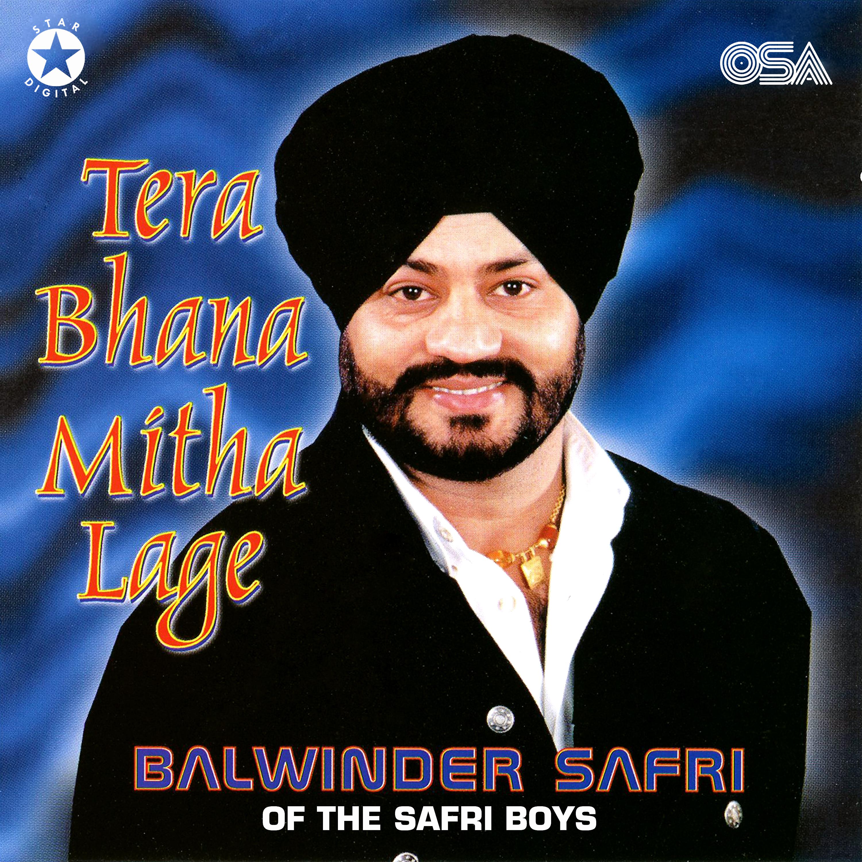 Постер альбома Tera Bhana Mitha Lage