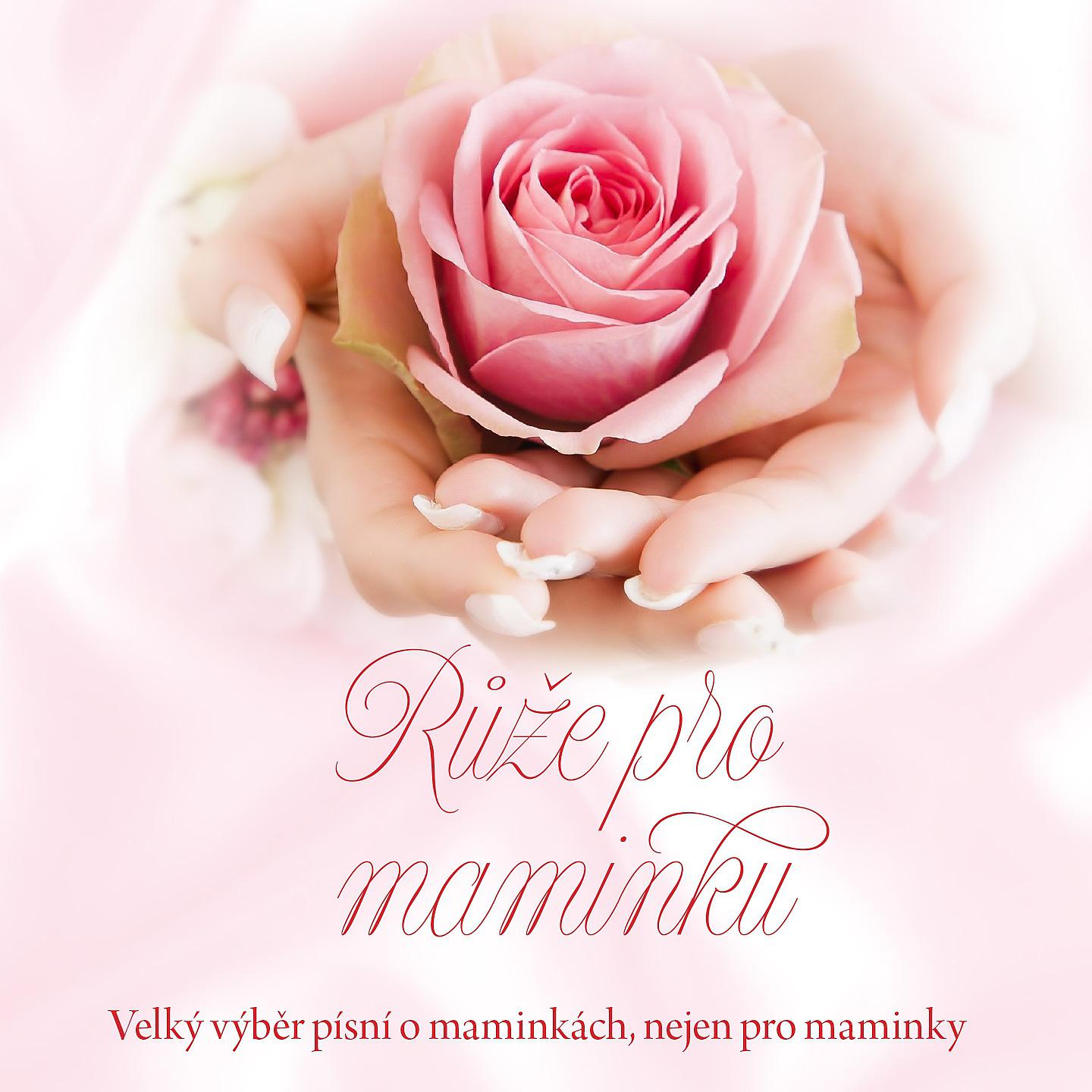 Постер альбома Růže pro maminku