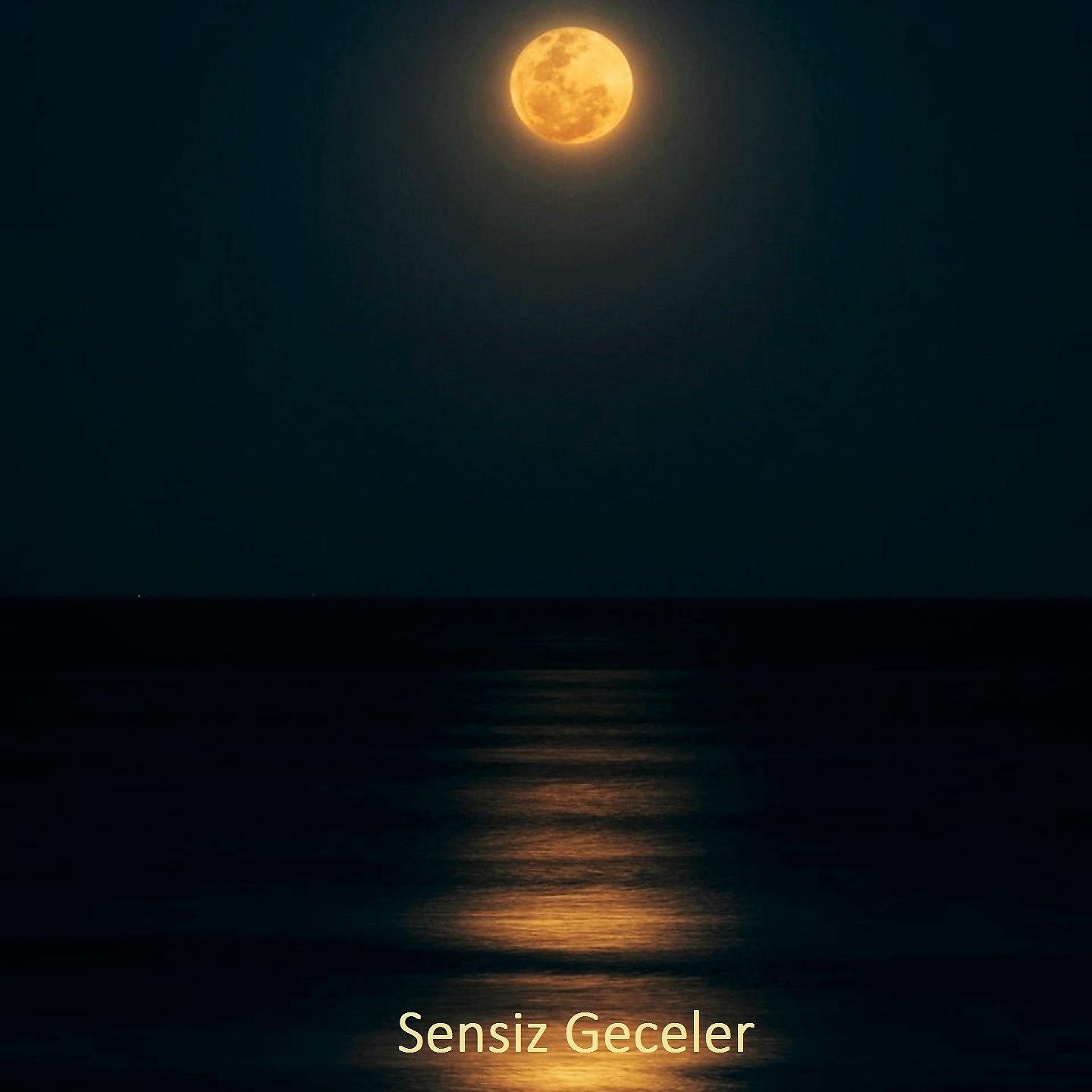 Постер альбома Sensiz Geceler