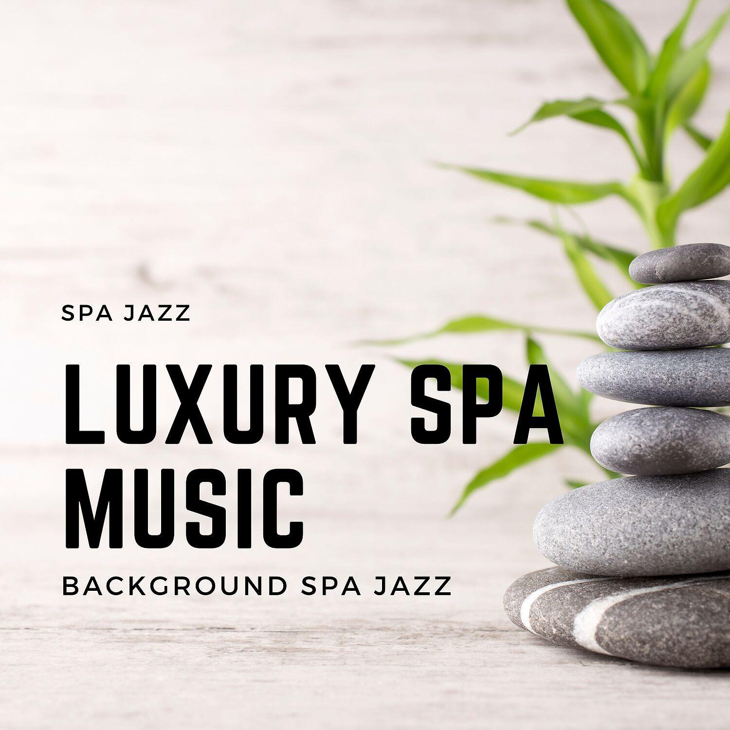 Постер альбома Luxury Spa Music: Background Spa Jazz