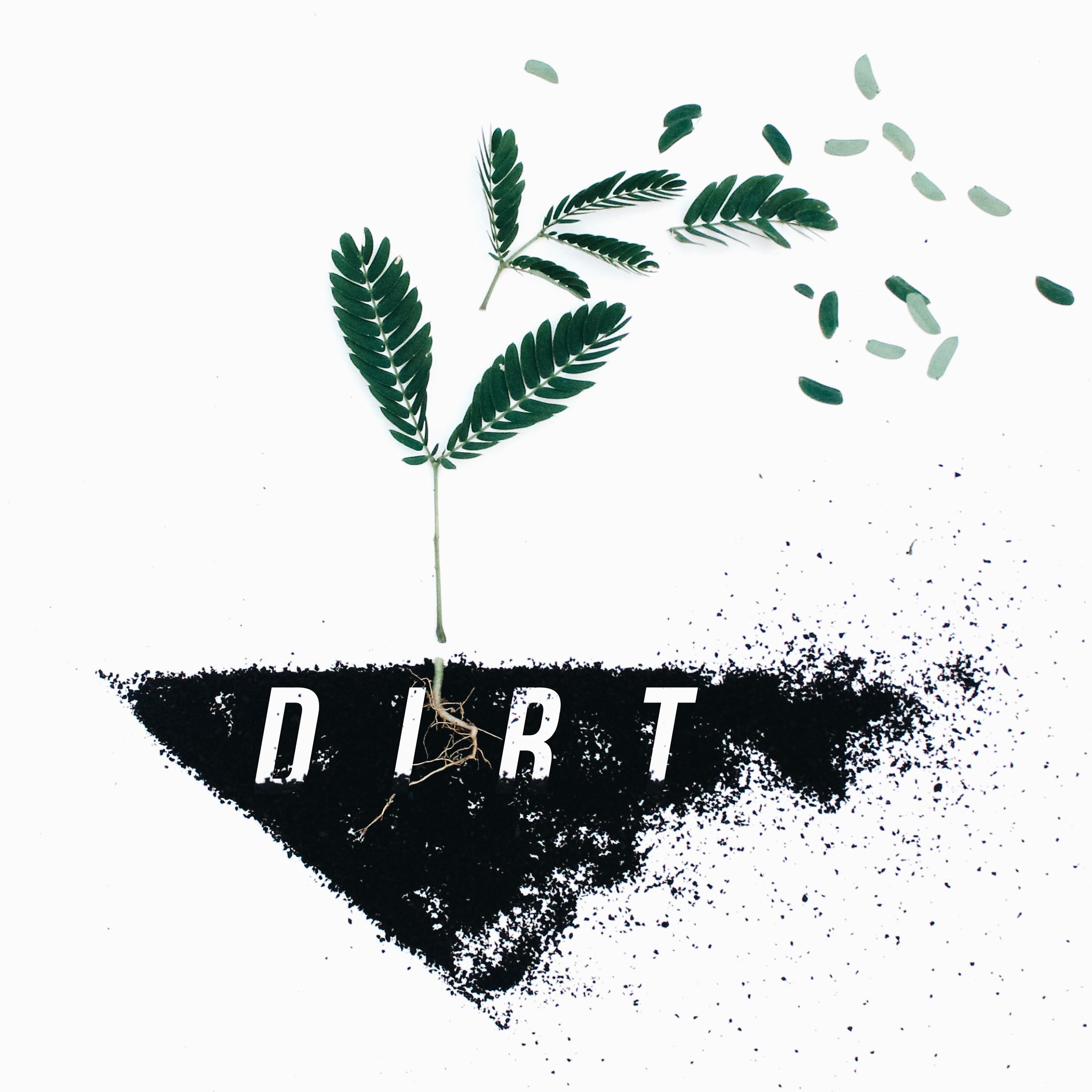 Постер альбома Dirt