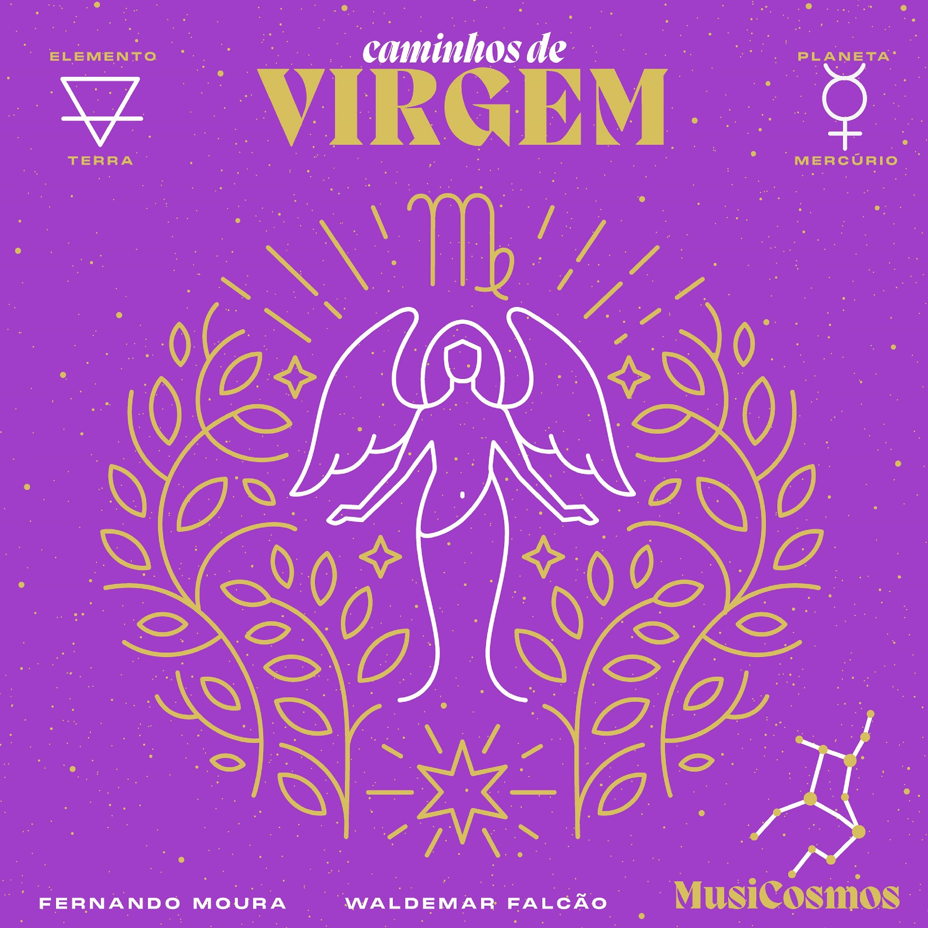 Постер альбома Caminhos de Virgem