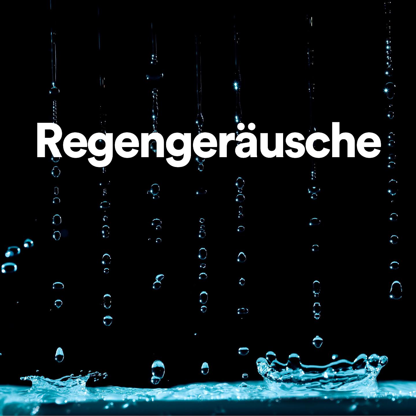 Постер альбома Regengeräusche