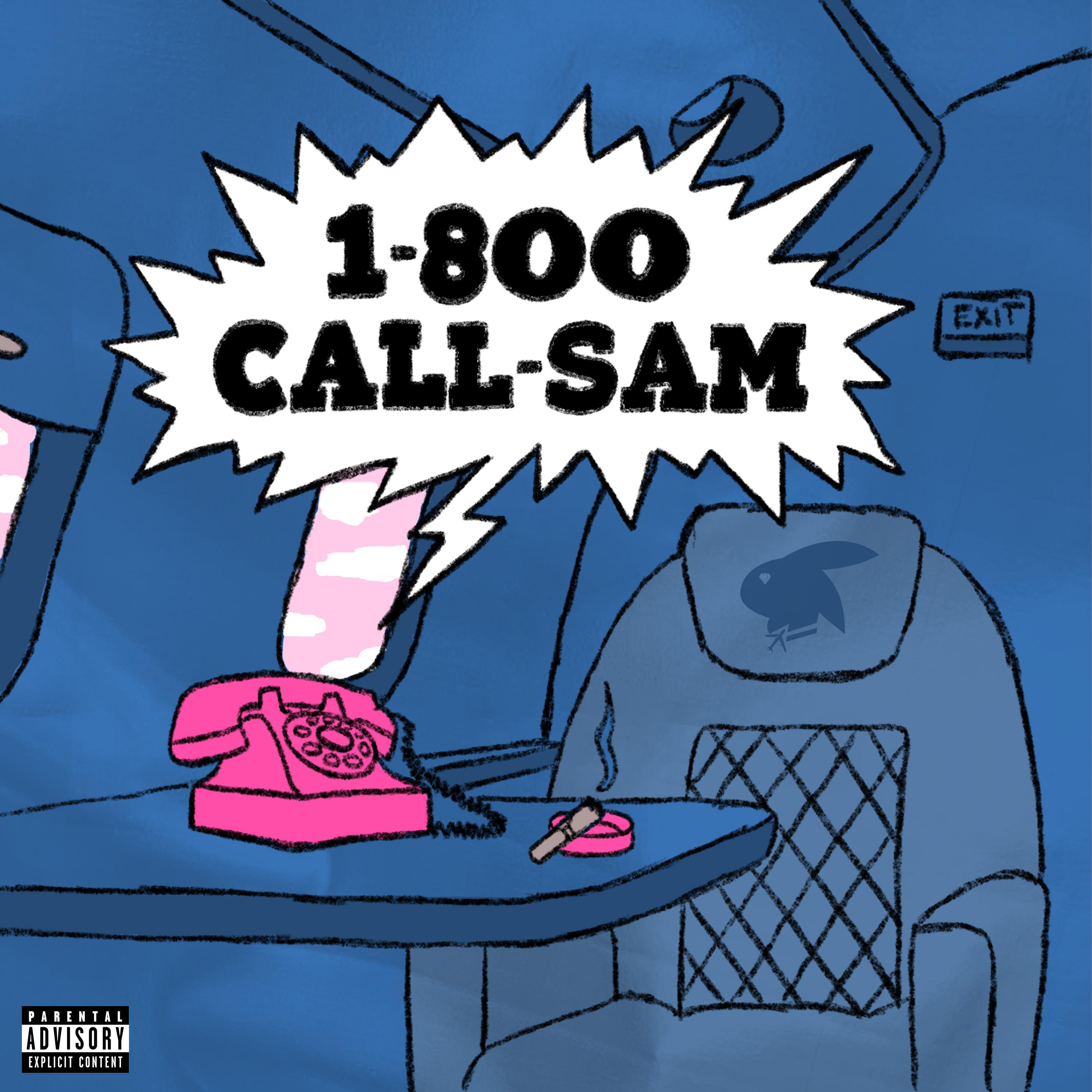 Постер альбома 1800 CALL SAM