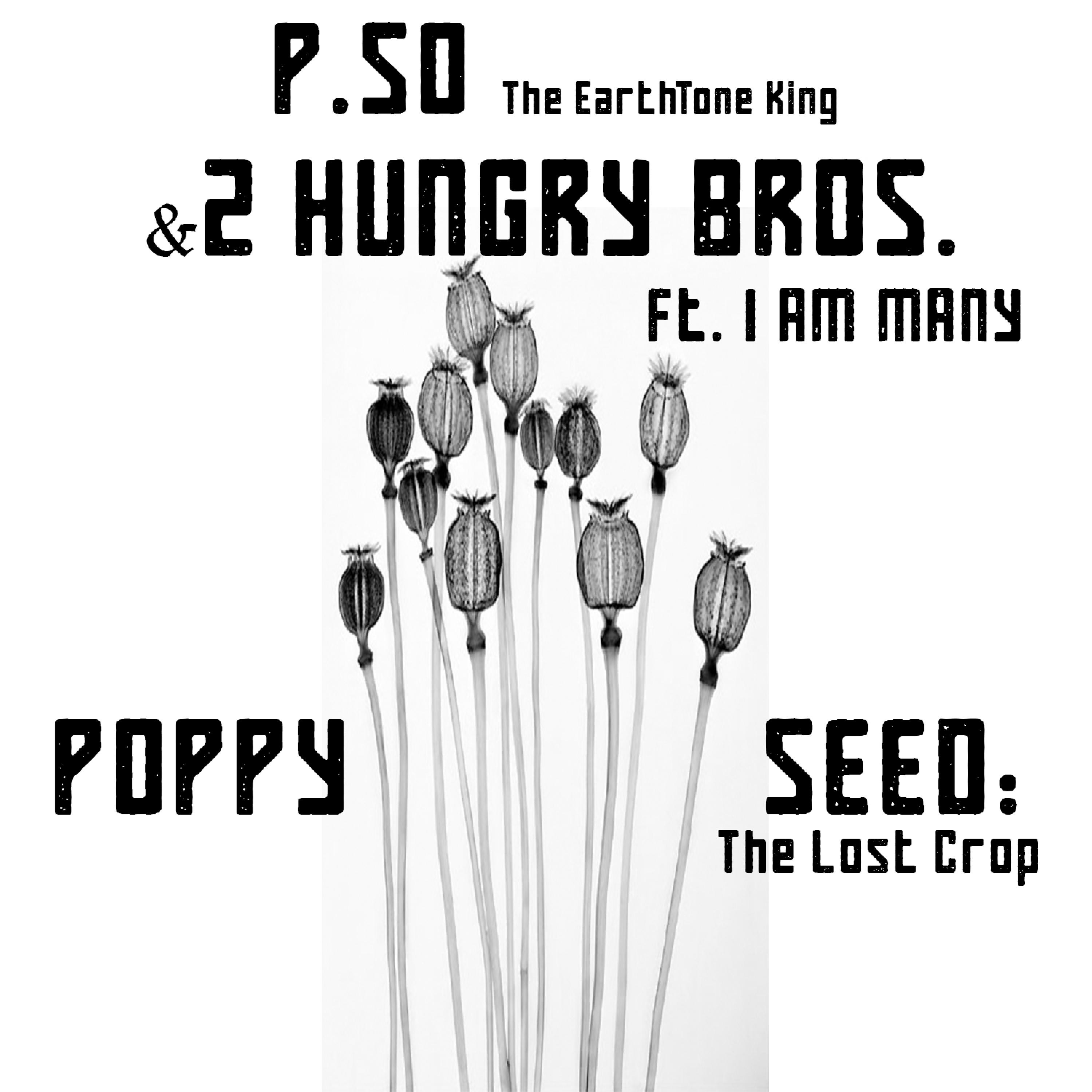 Постер альбома Poppy Seed: The Lost Crop (feat. I Am Many) - Single