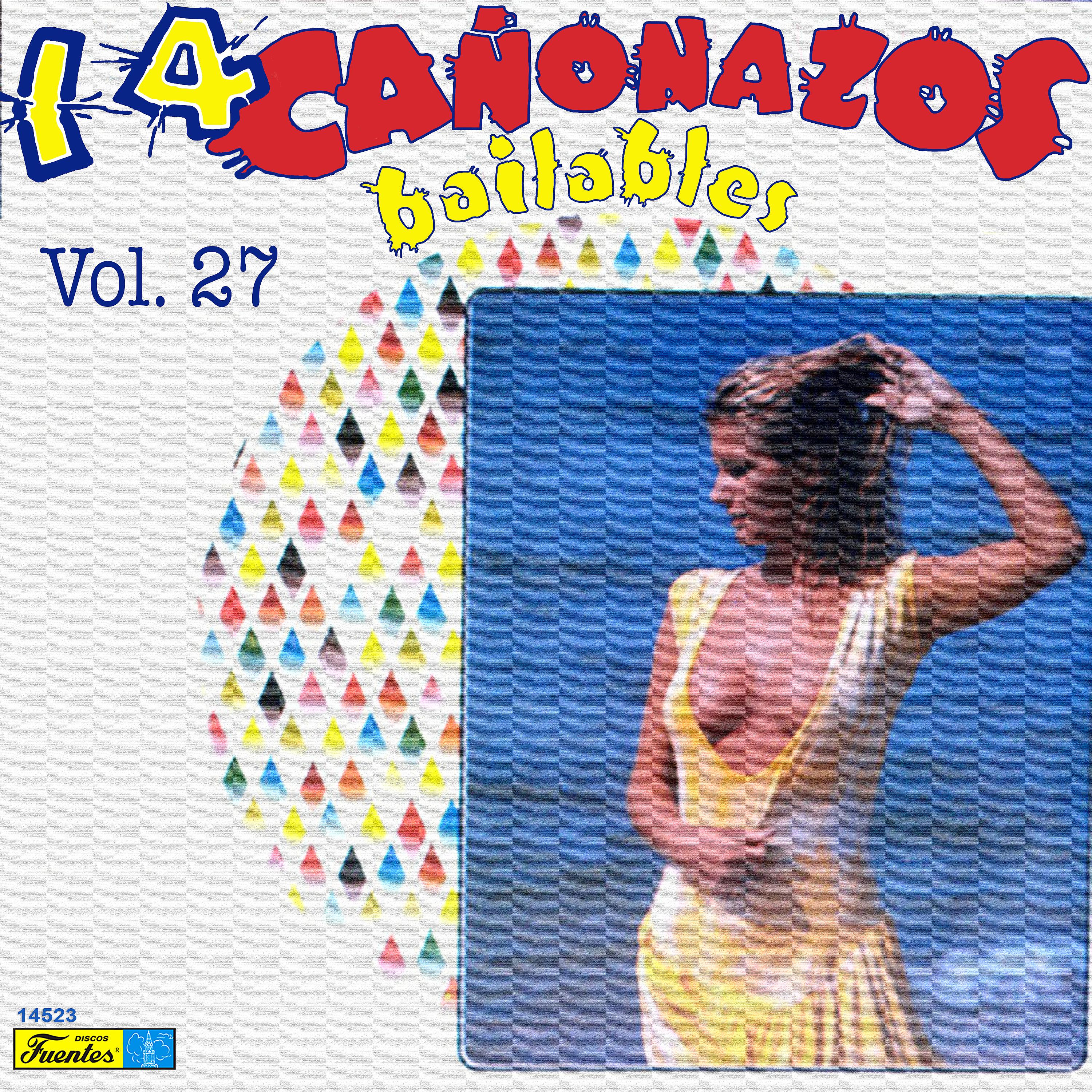 Постер альбома 14 Cañonazos Bailables, Vol. 27