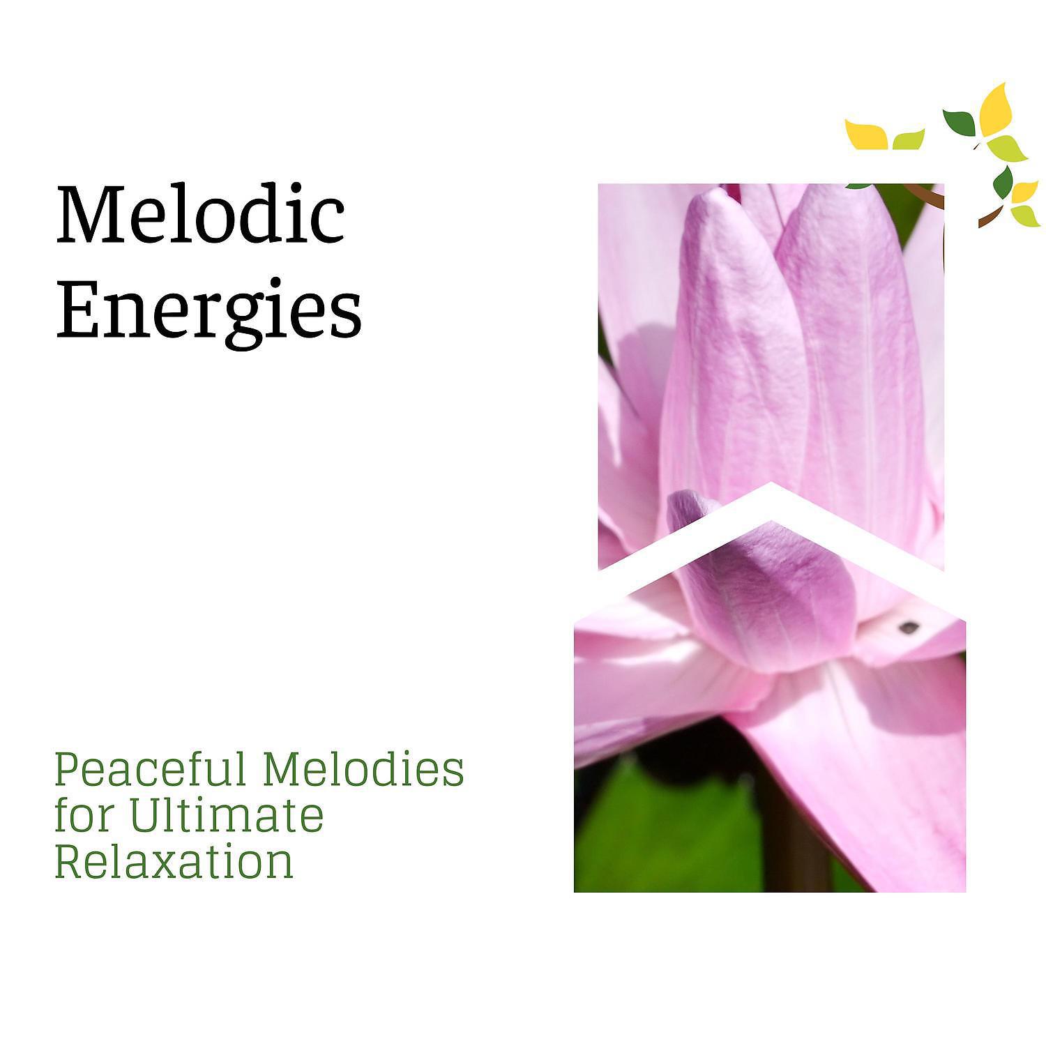 Постер альбома Melodic Energies - Peaceful Melodies for Ultimate Relaxation
