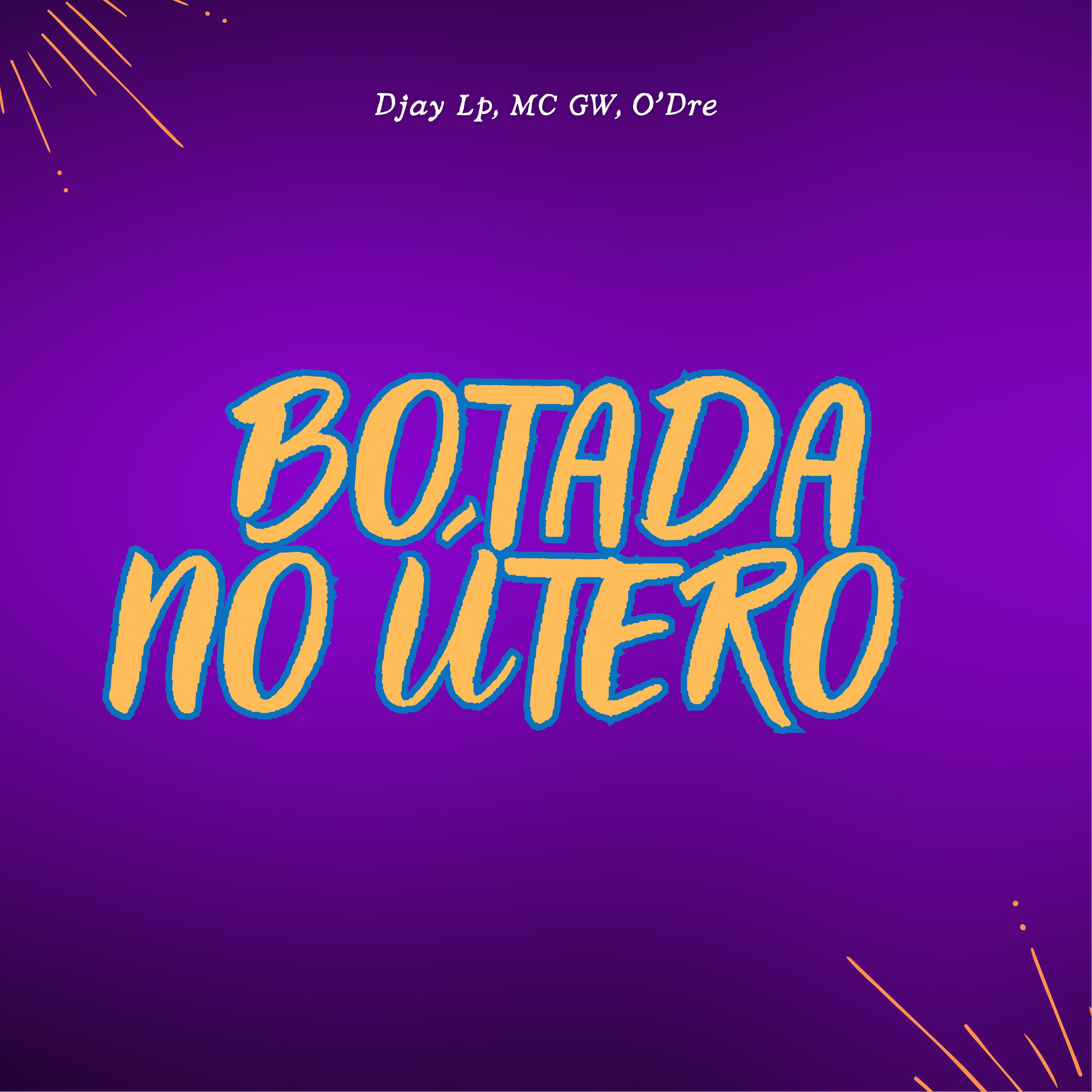 Постер альбома Botada no Útero