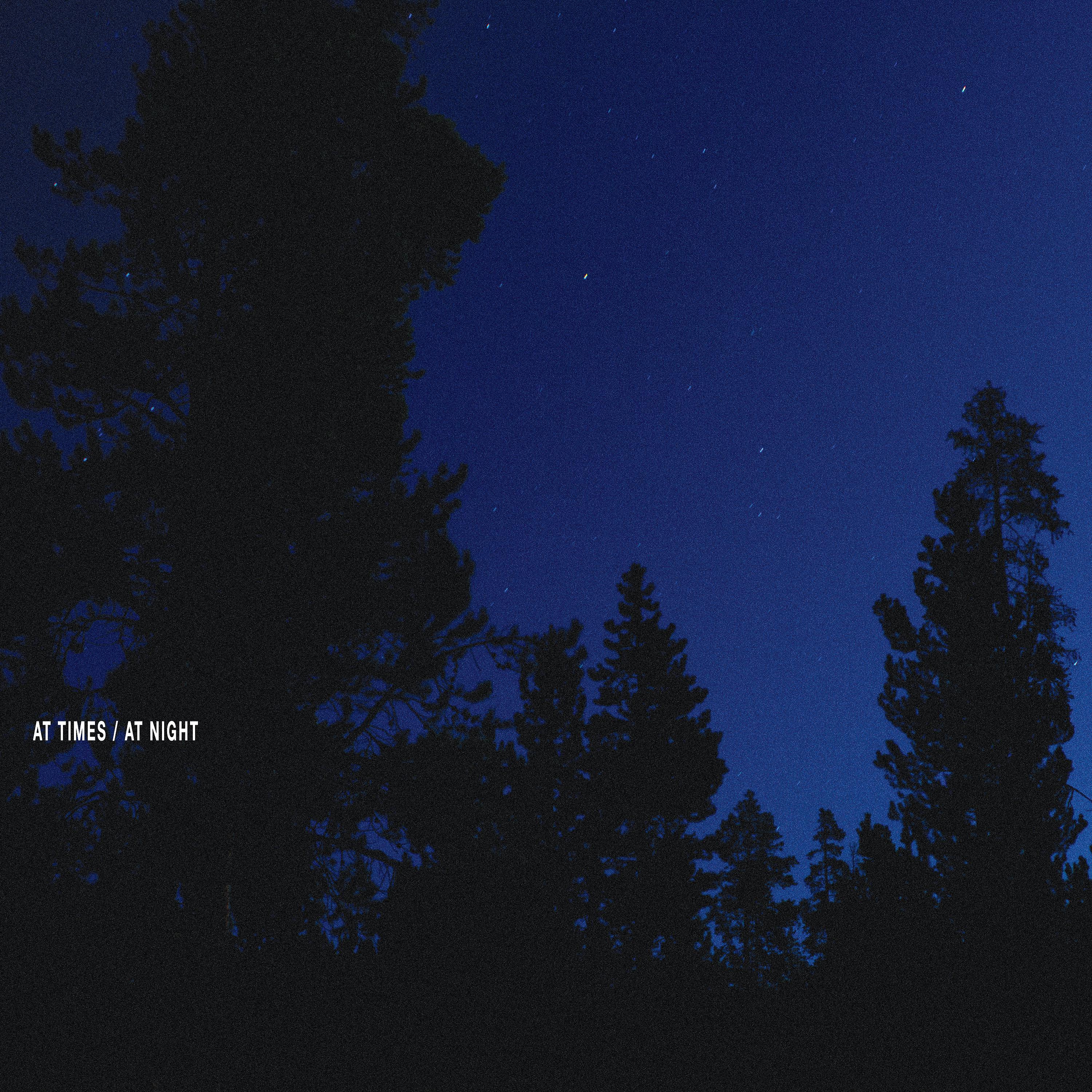 Постер альбома At Times / At Night (Album Version)