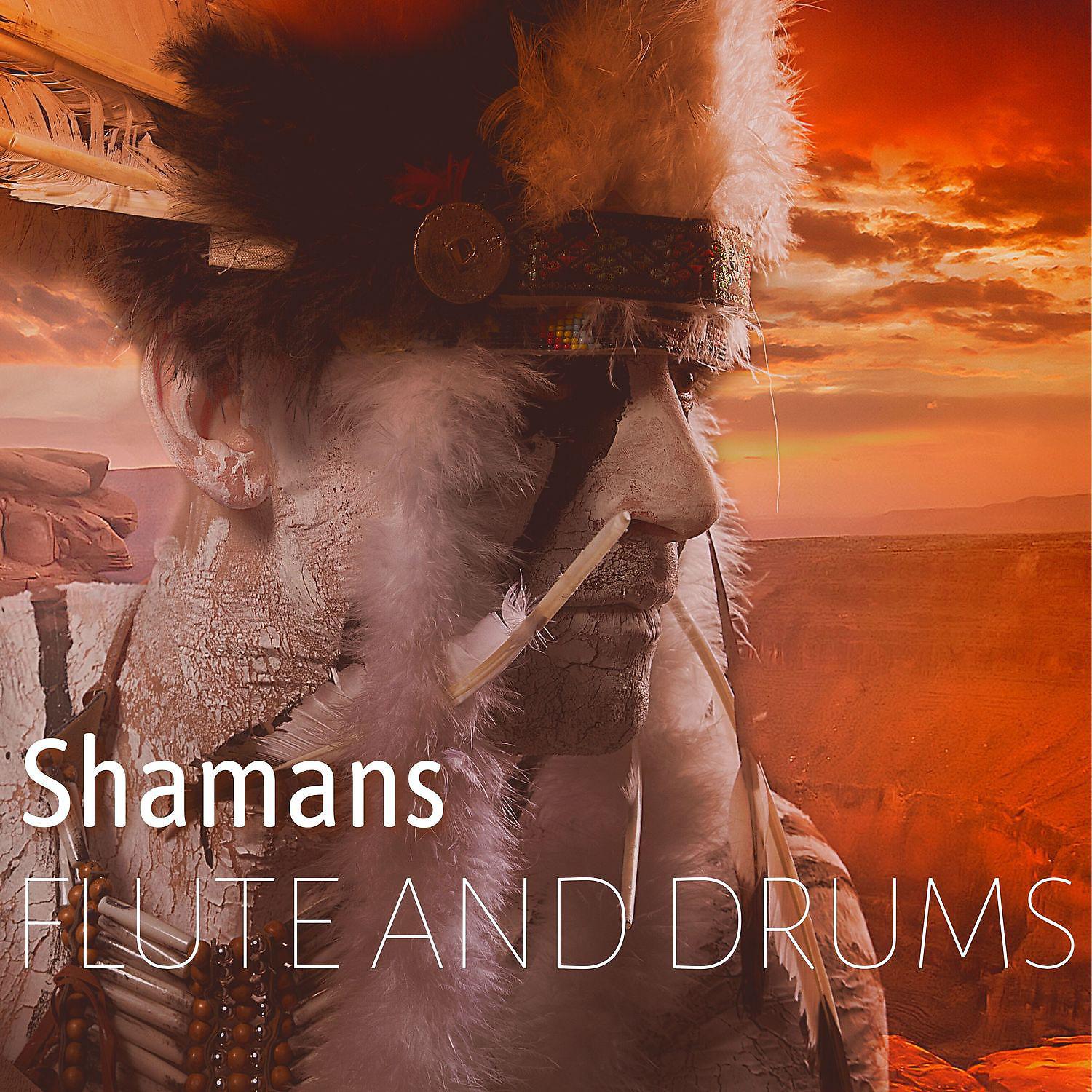 Постер альбома Shamans - Flute and Drums, Indian Spiritual Healing