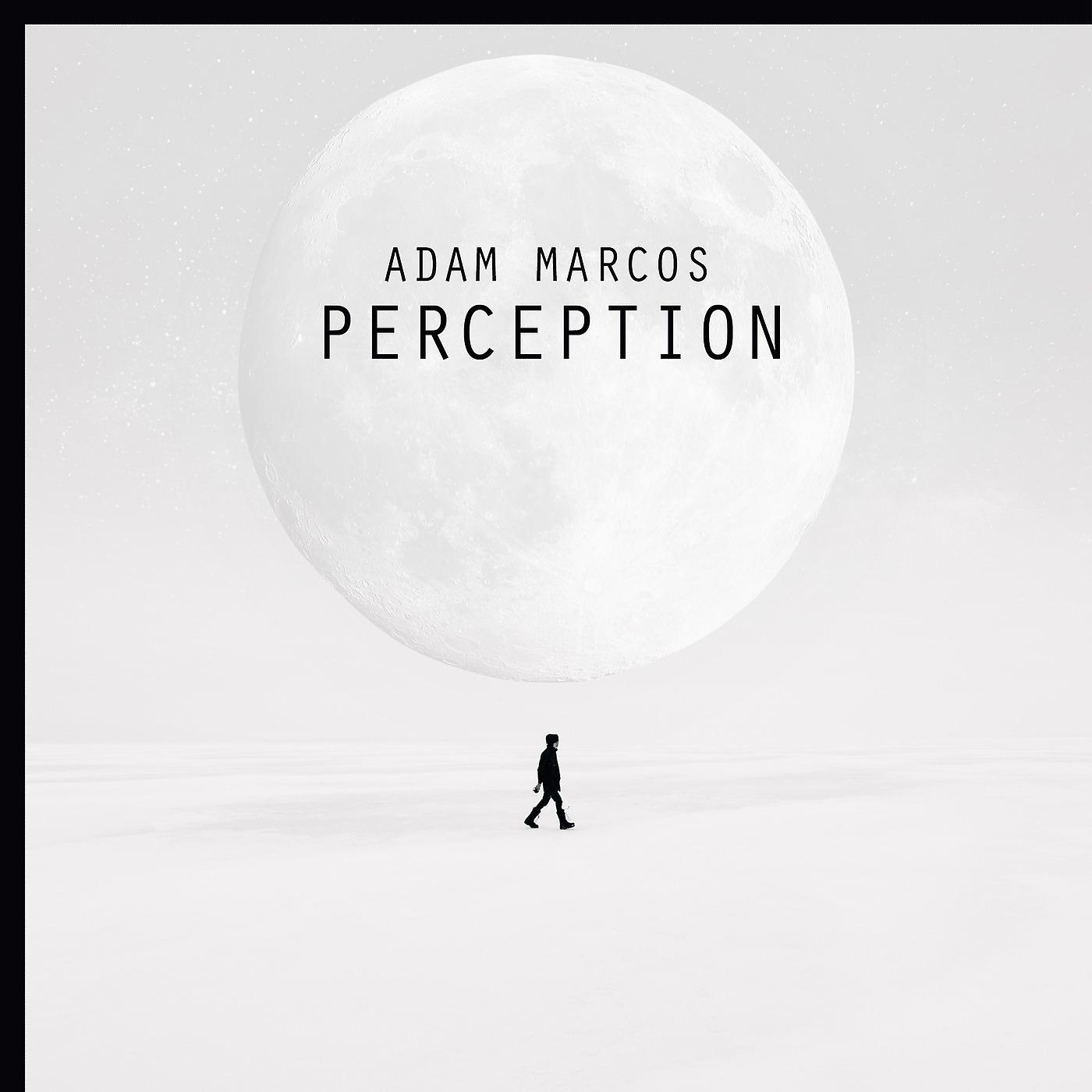 Постер альбома Perception