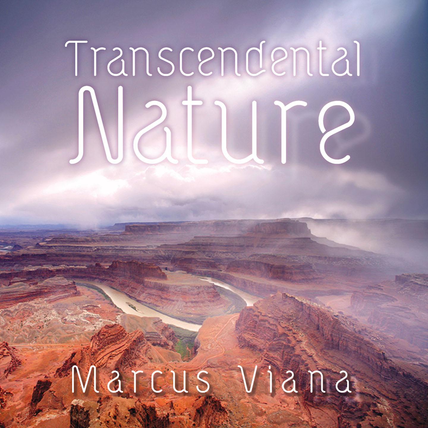 Постер альбома Transcendental Nature