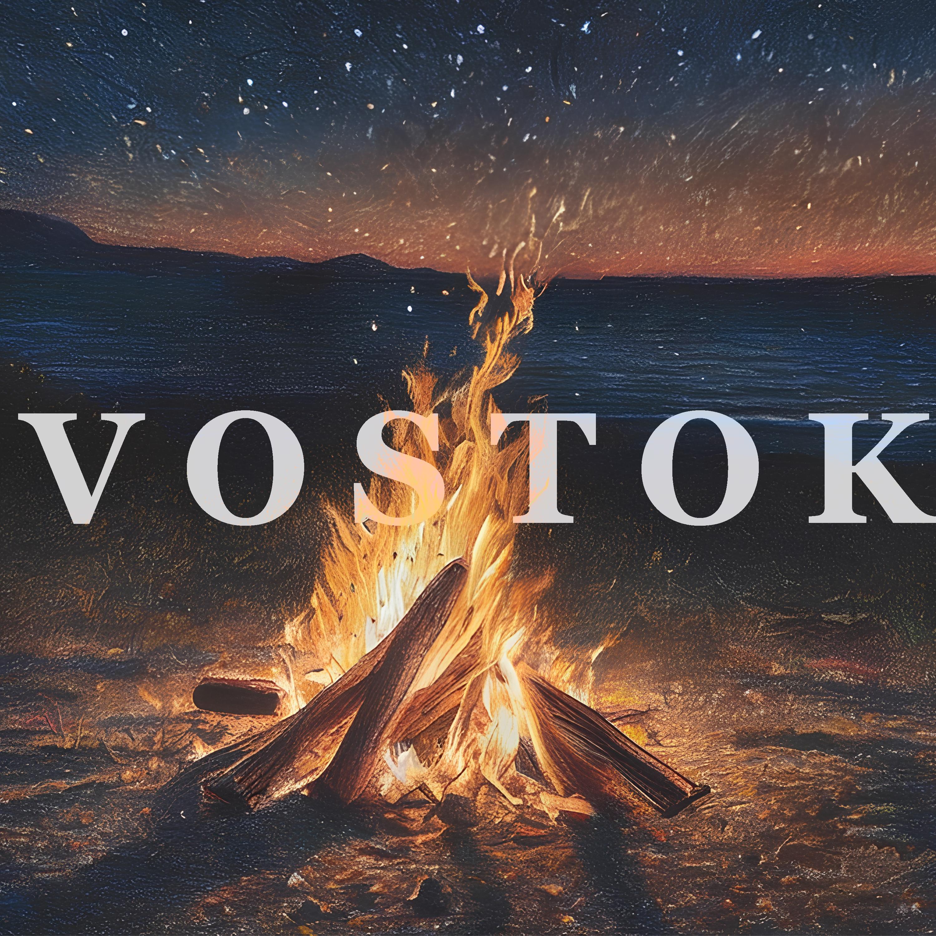 Постер альбома VOSTOK