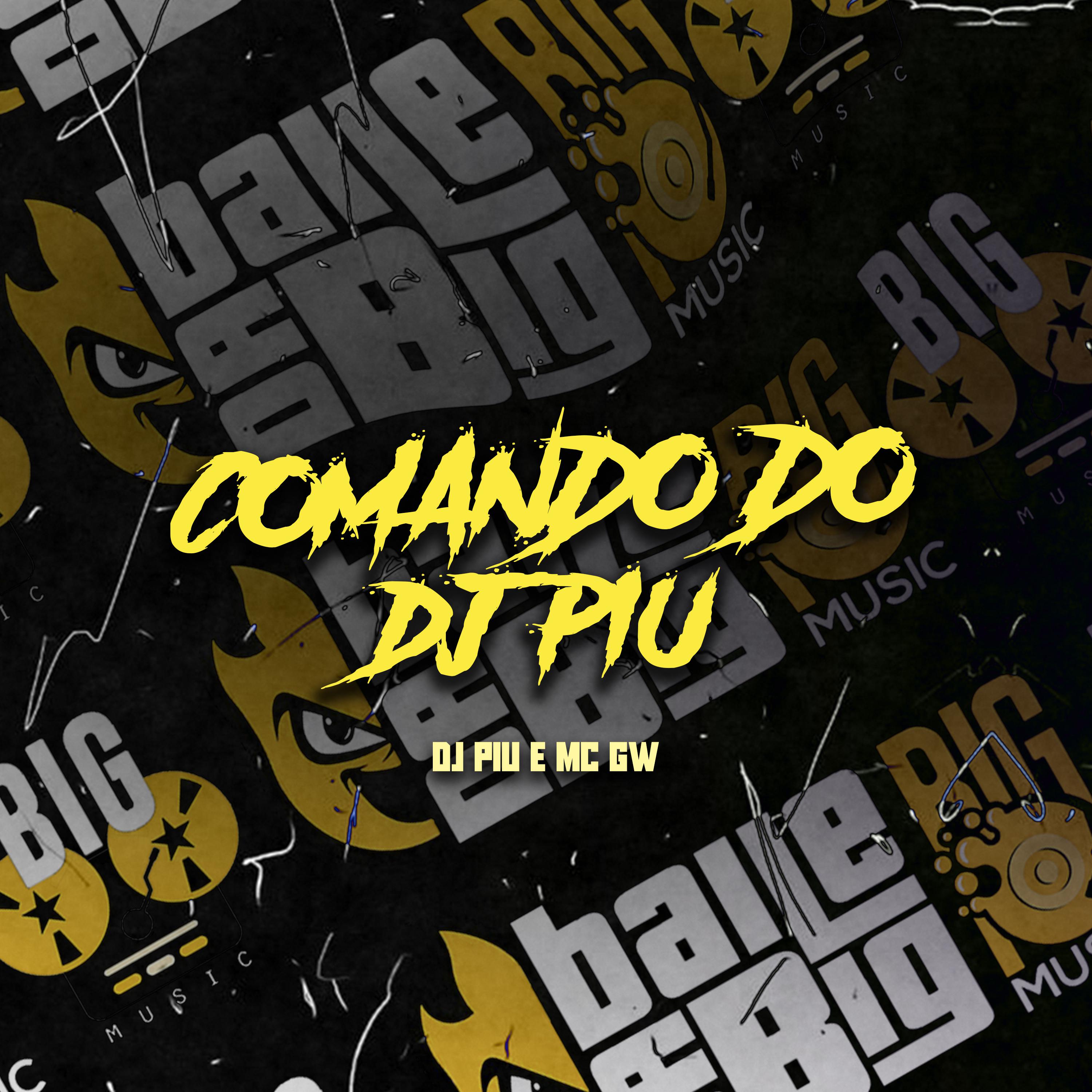 Постер альбома Comando do Dj Piu