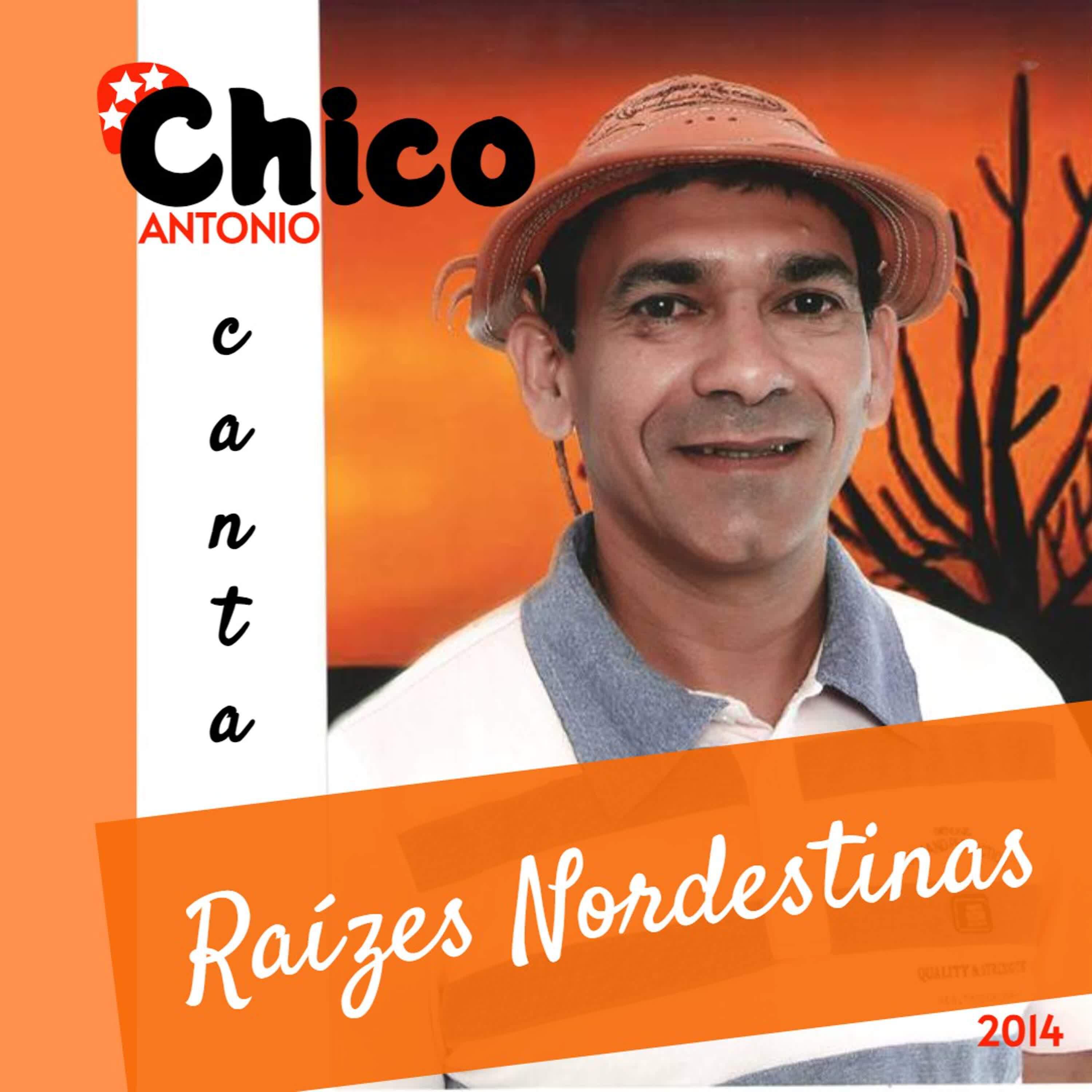 Постер альбома Raízes Nordestinas
