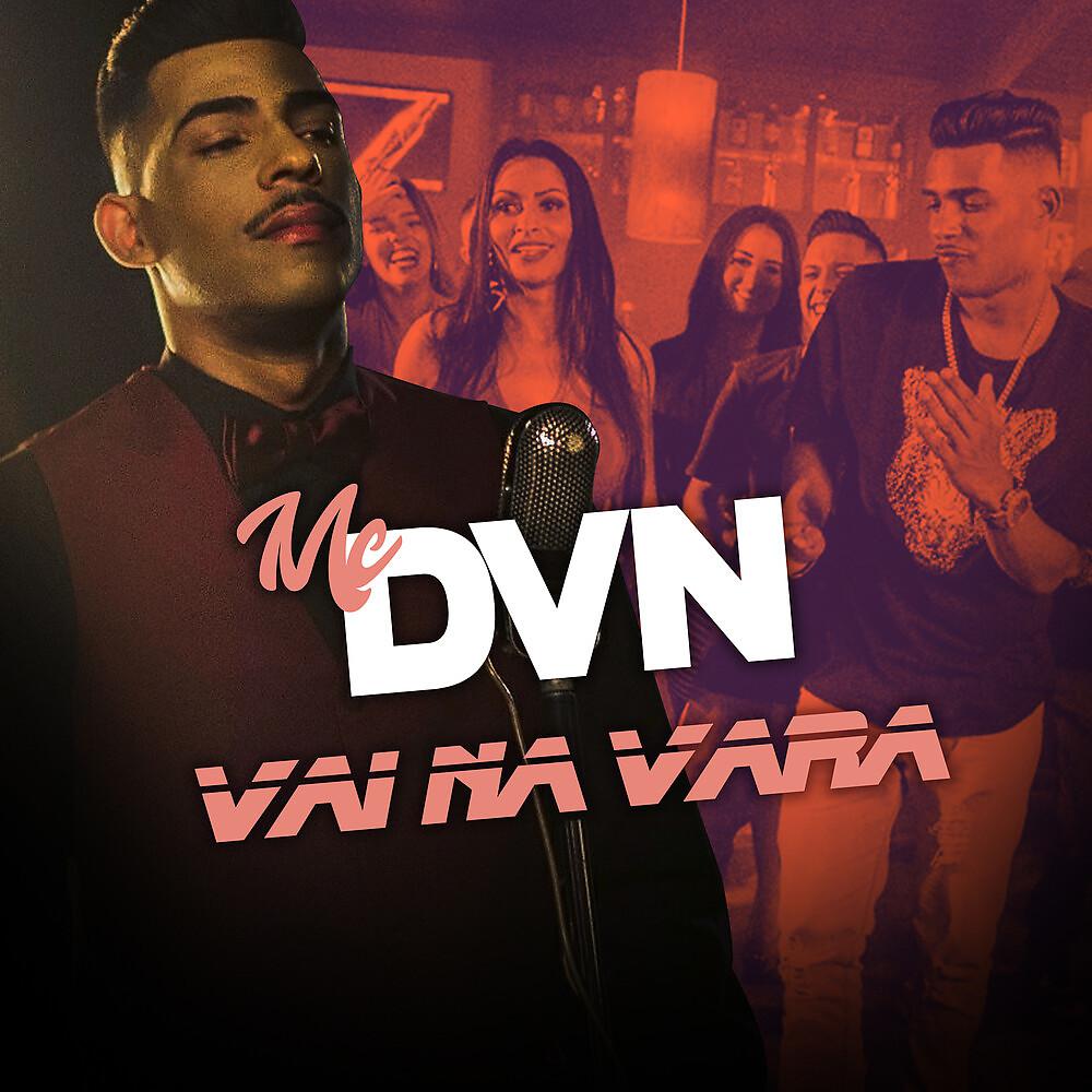 Постер альбома Vai Na Vara