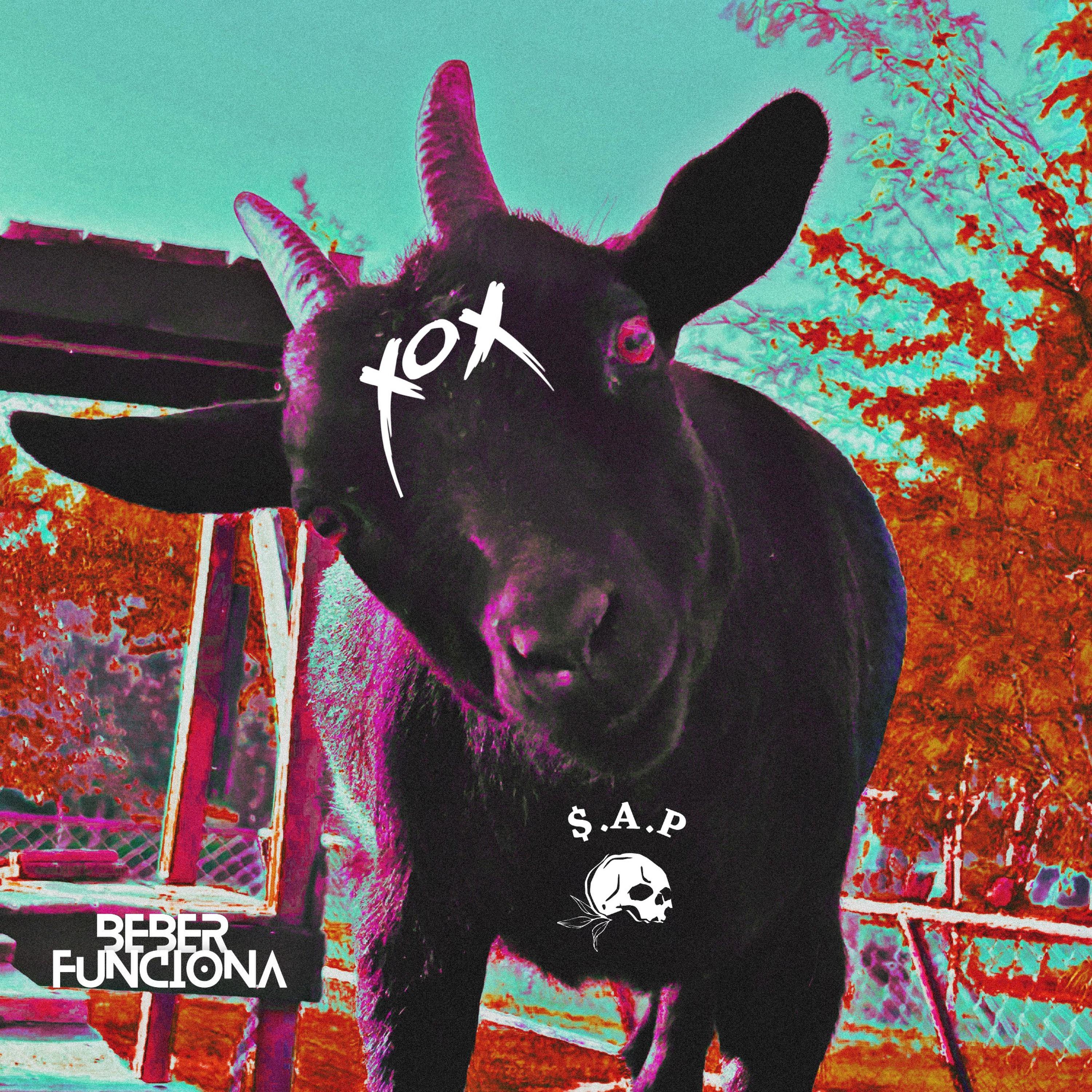 Постер альбома Xox
