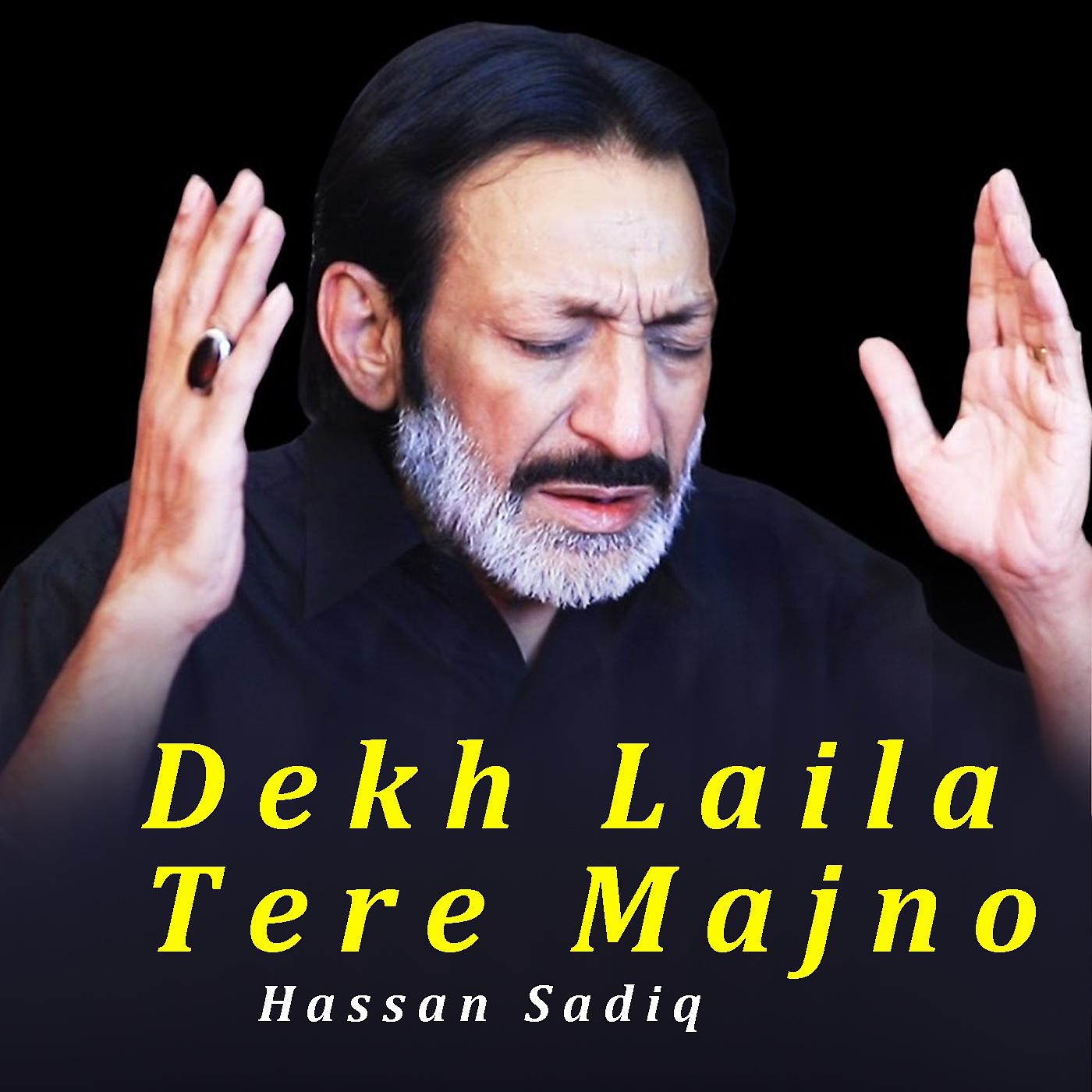 Постер альбома Dekh Laila Tere Majno