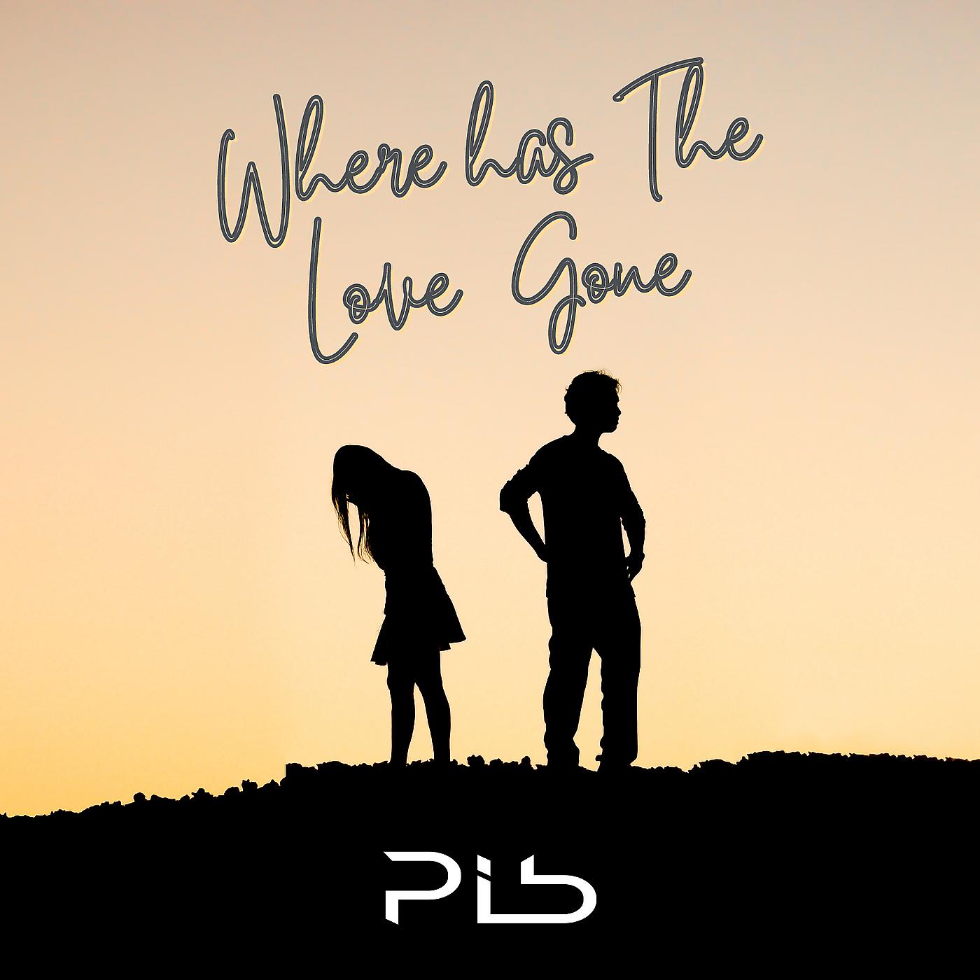 Постер альбома Where Has the Love Gone