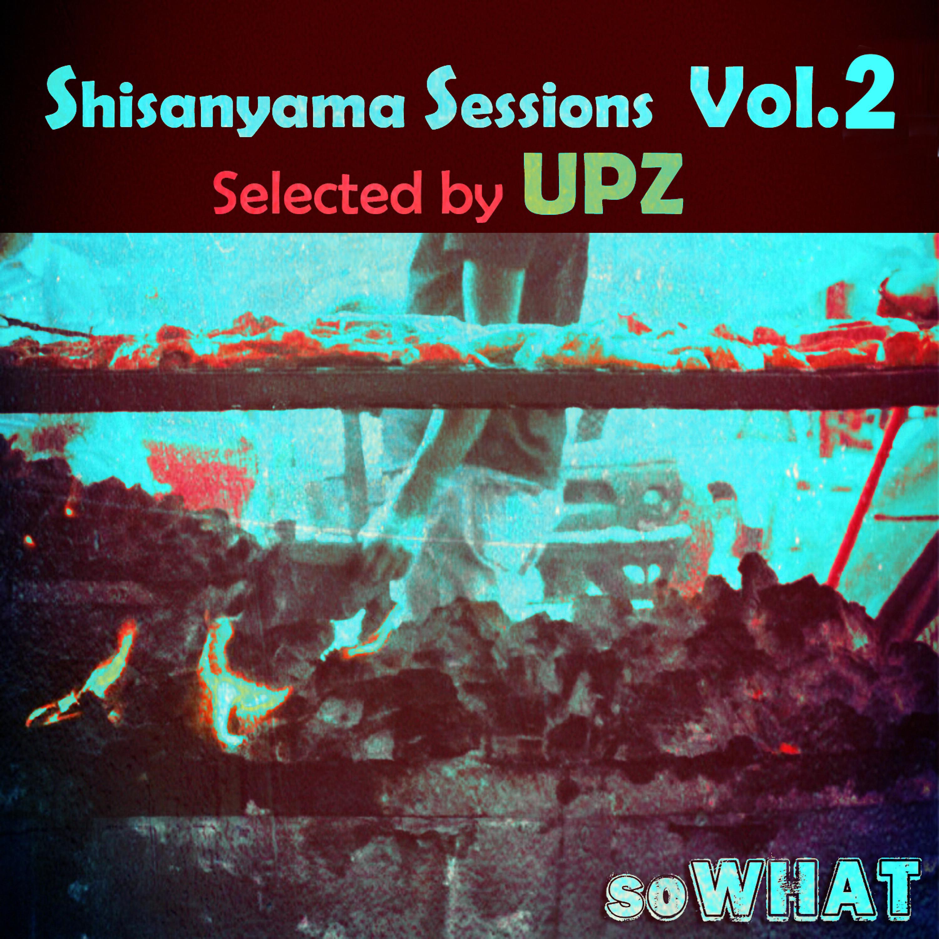 Постер альбома Shisanyama Sessions, Vol. 2 (Selected by UPZ)