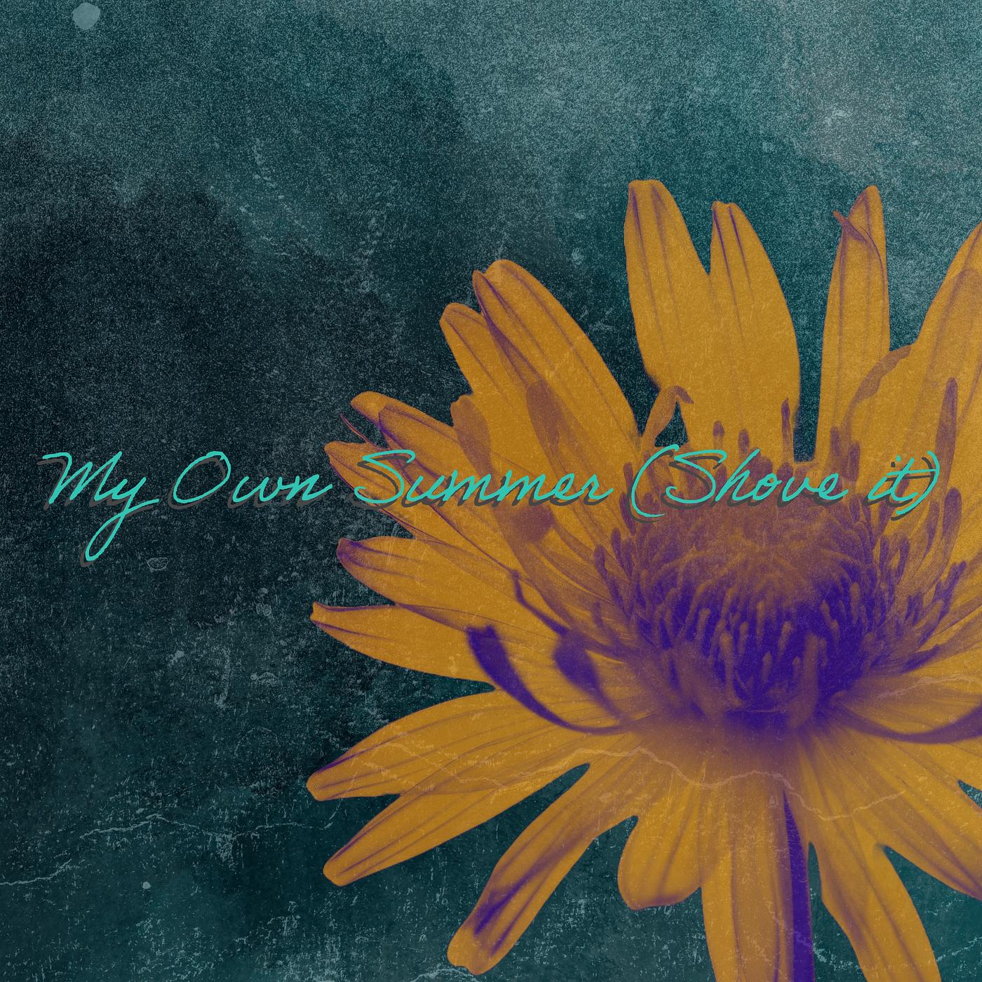 Постер альбома My Own Summer (Shove It)