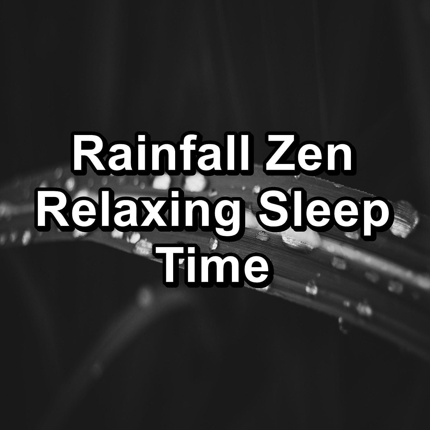 Постер альбома Rainfall Zen Relaxing Sleep Time