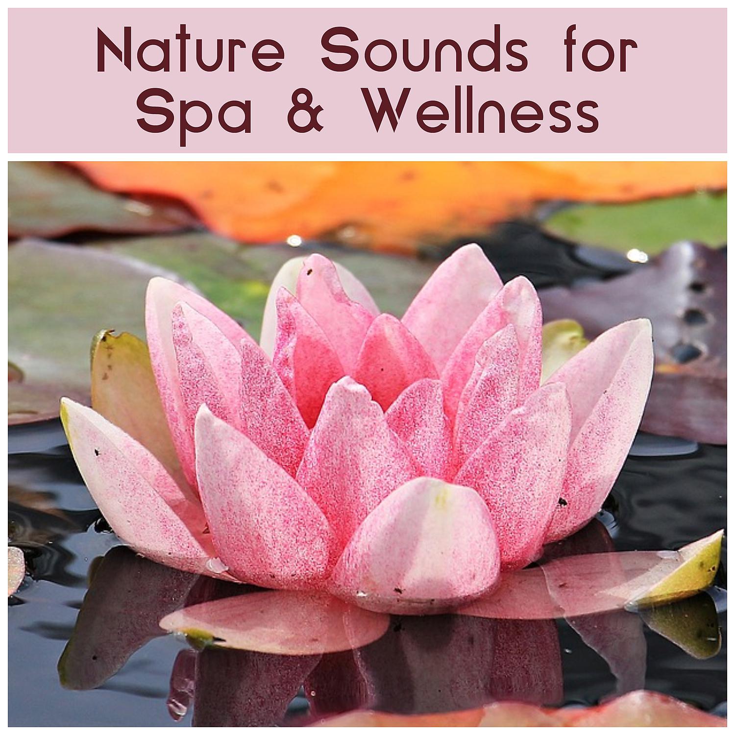 Постер альбома Nature Sounds for Spa & Wellness – Calming Sounds of Nature, Spa Relaxation, Calm Down with New Age Music, Chill Yourself