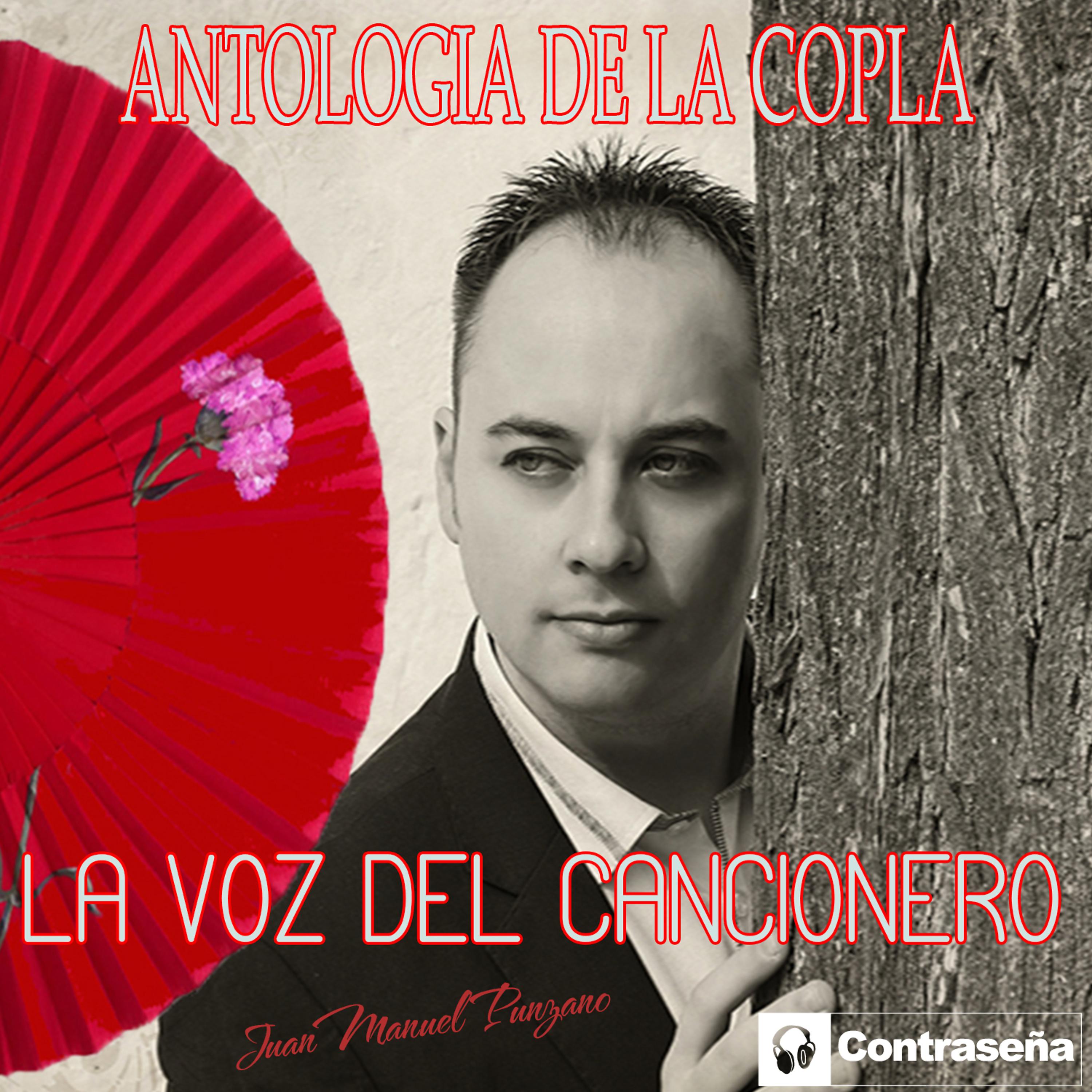 Постер альбома Antologia de la Copla