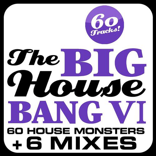 Постер альбома THE BIG HOUSE BANG!, Vol. 6