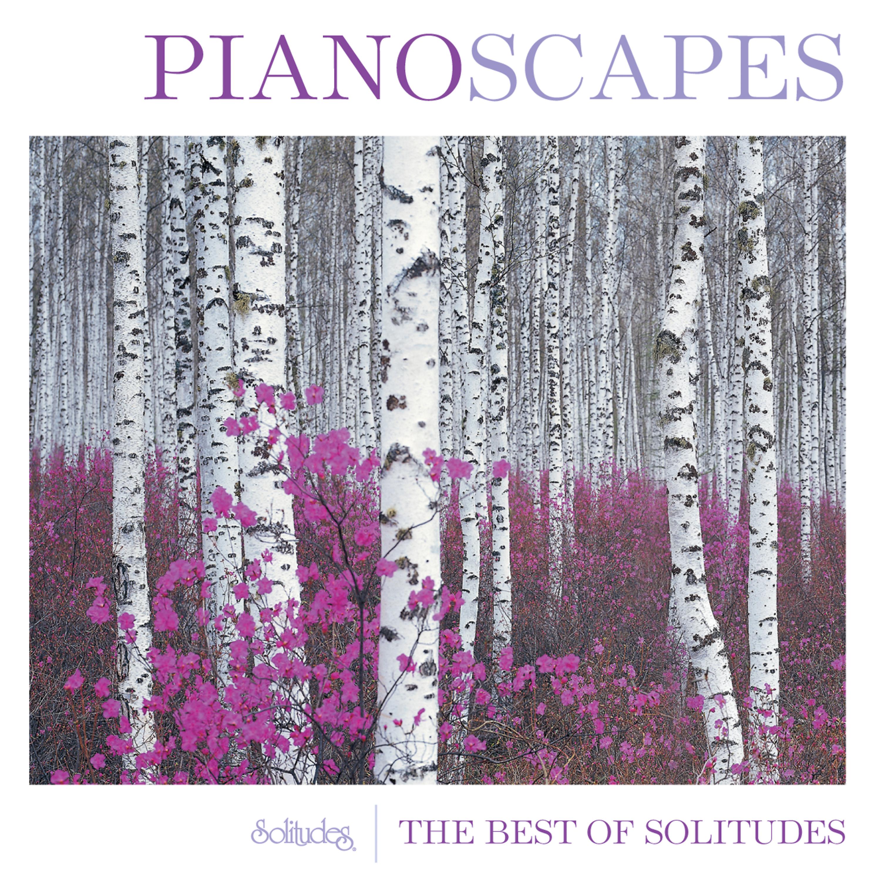 Постер альбома Pianoscapes