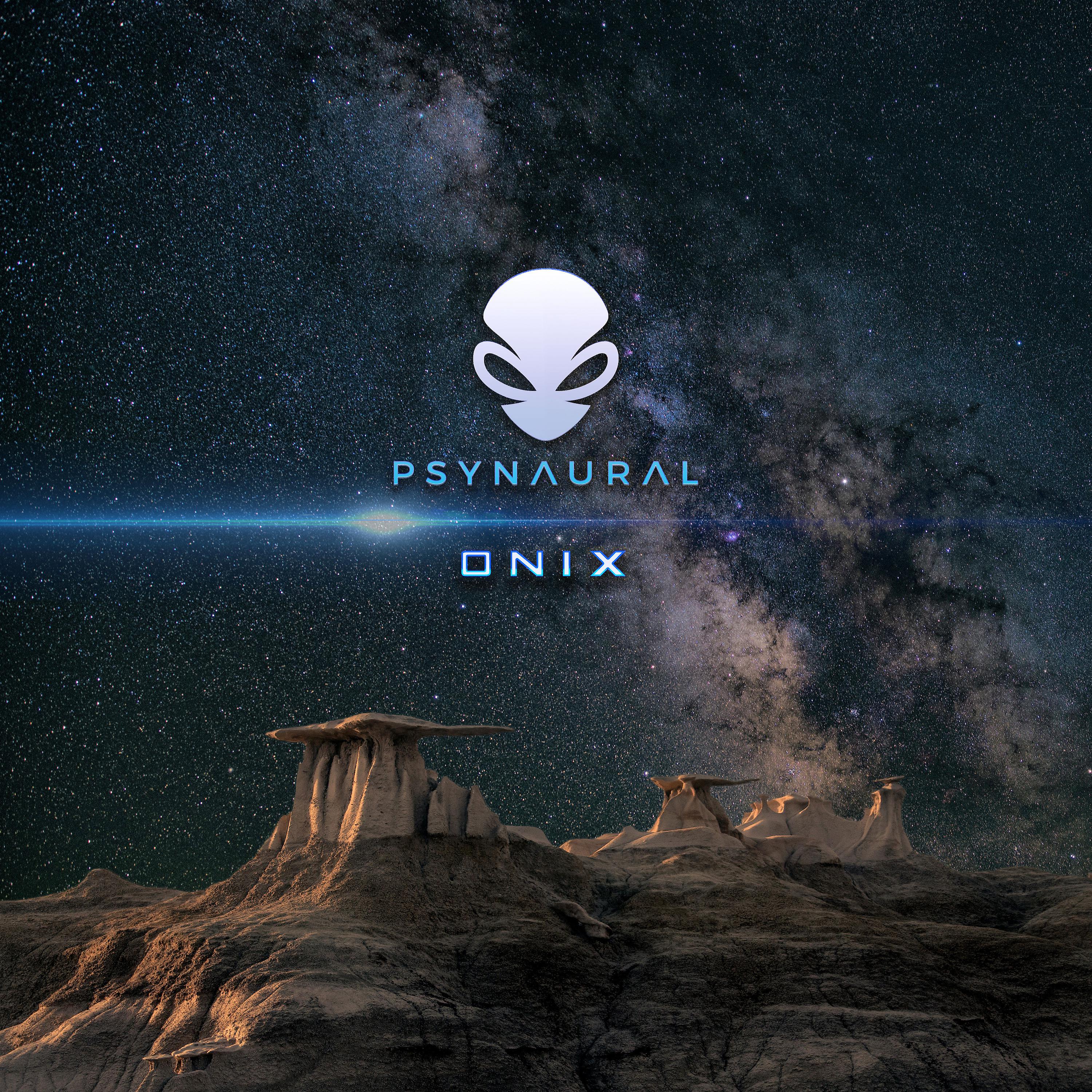 Постер альбома Onix